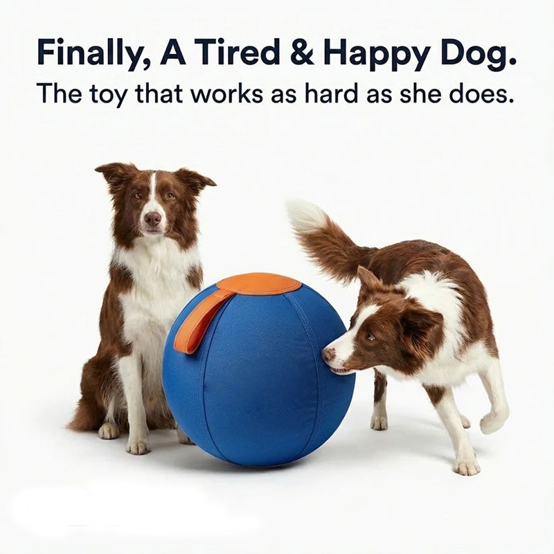 The Original Herding Ball for Dogs