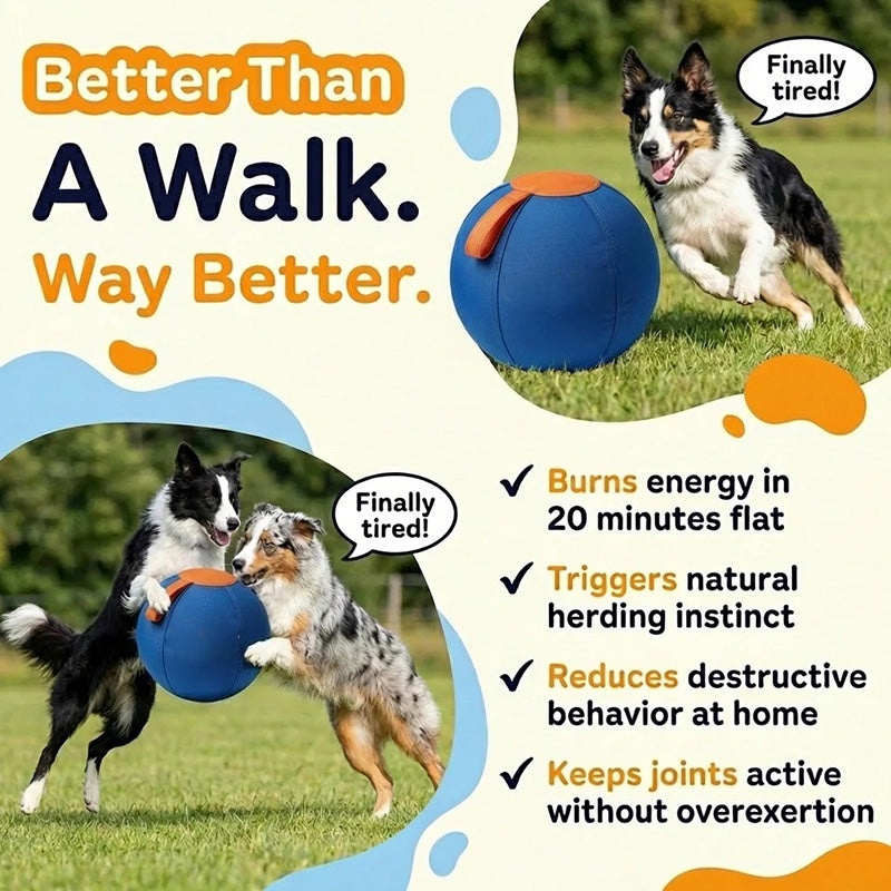 The Original Herding Ball for Dogs