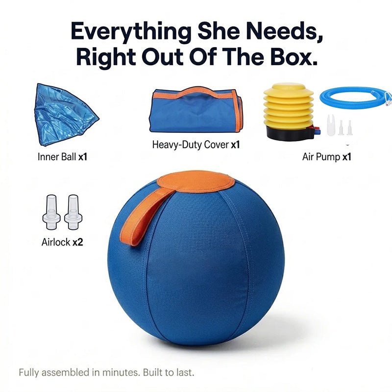 The Original Herding Ball for Dogs