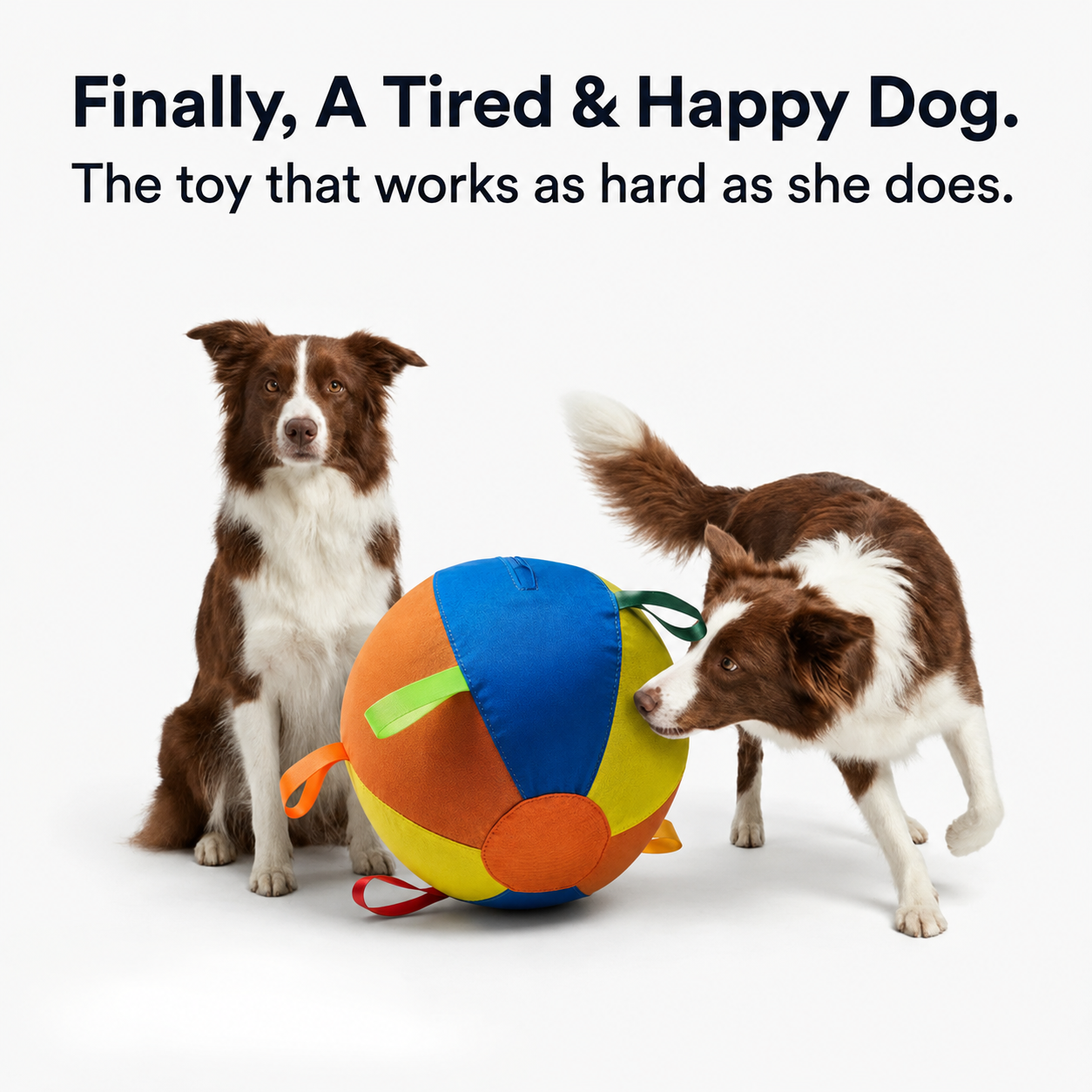 The Original Herding Ball for Dogs