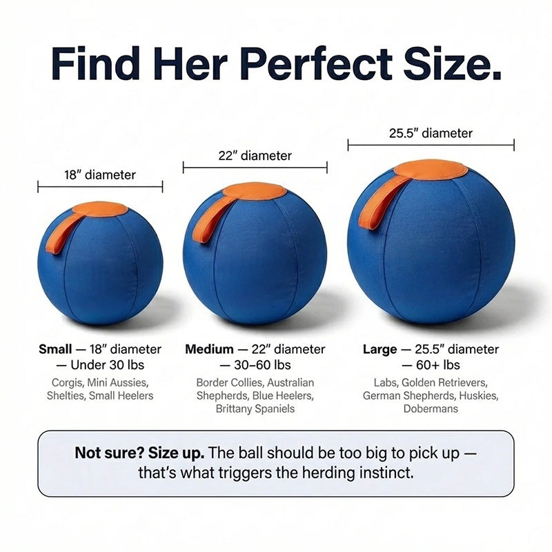The Original Herding Ball for Dogs