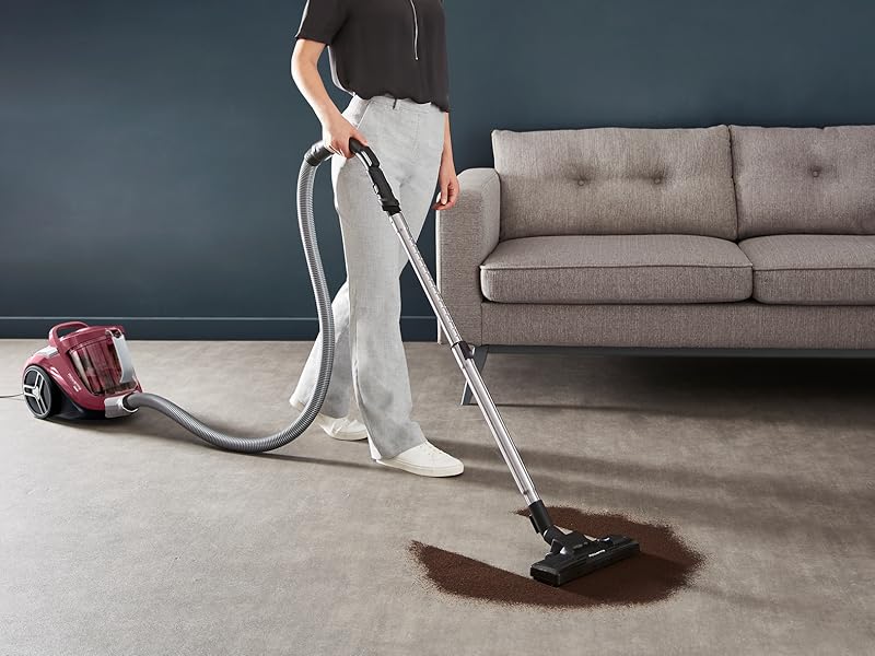 aspirateur sans sac