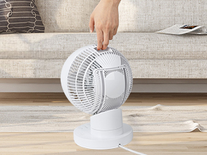 fan
