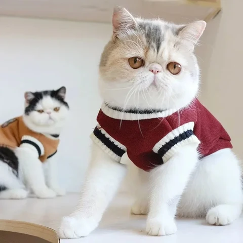 Adorable college style cat sweater