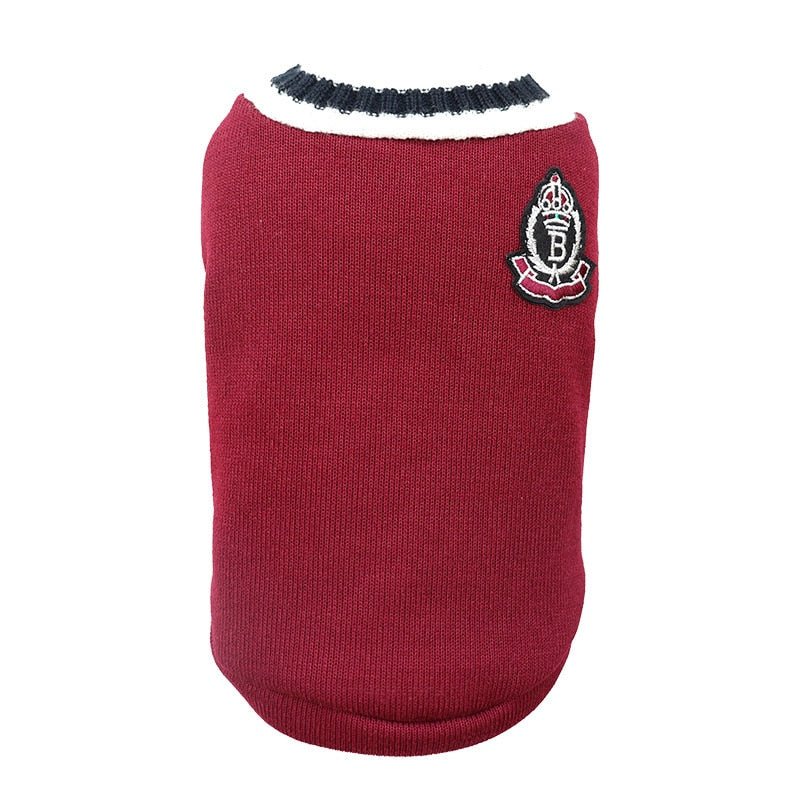 Adorable college style cat sweater