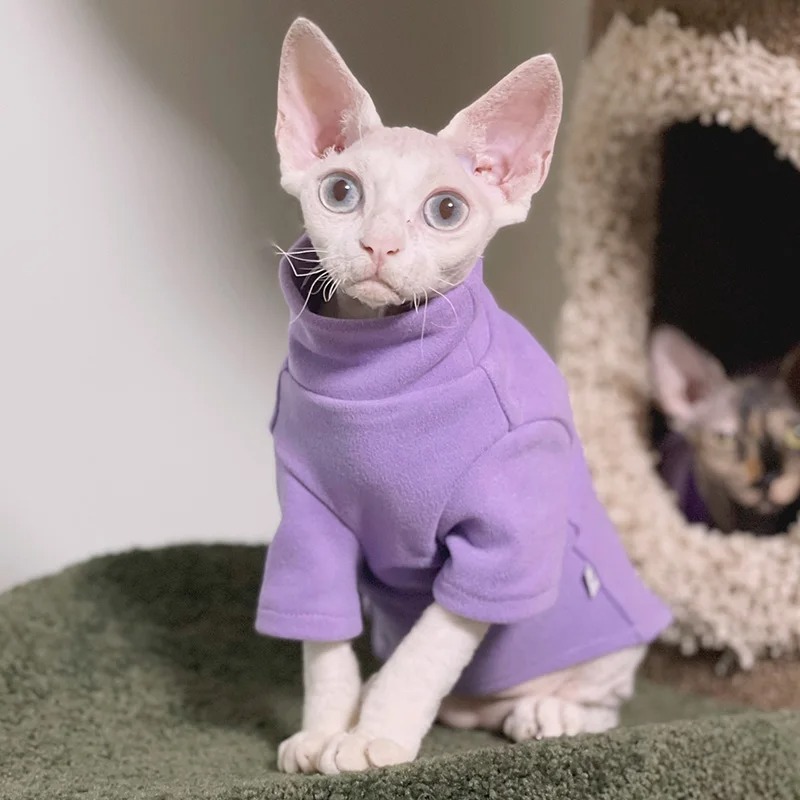 Adorable innerwear/ cat clothes for cats