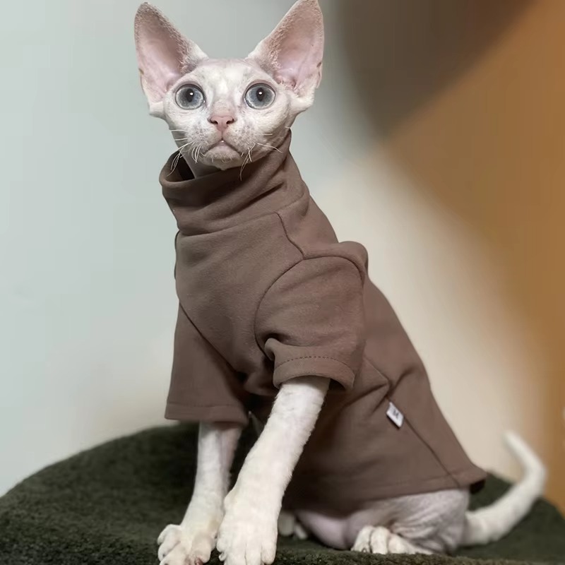 Adorable innerwear/ cat clothes for cats