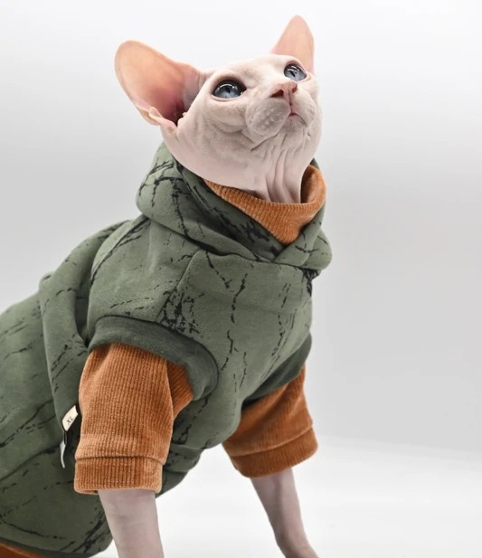 'Cool cat model' cat winter coat