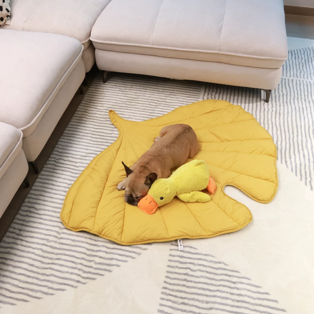 Calming Duck