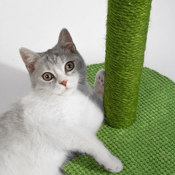 Cactus design adorable cat scratching post