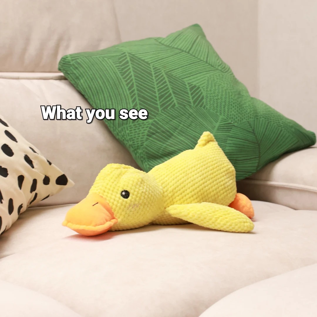 Calming Duck