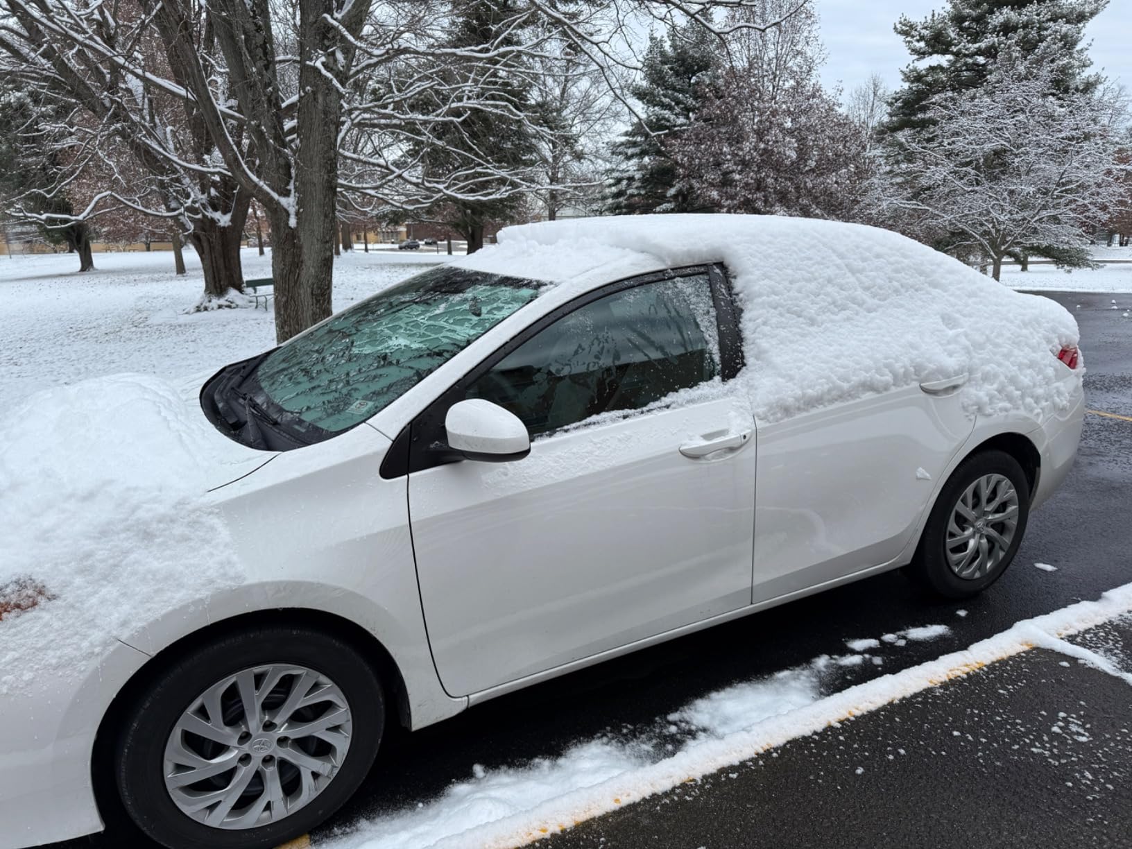 Customer windscreen frost cover photo