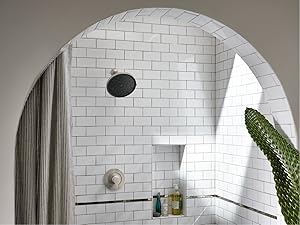 eBidets & eToilets