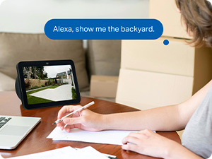 Sound and Light Alarms
