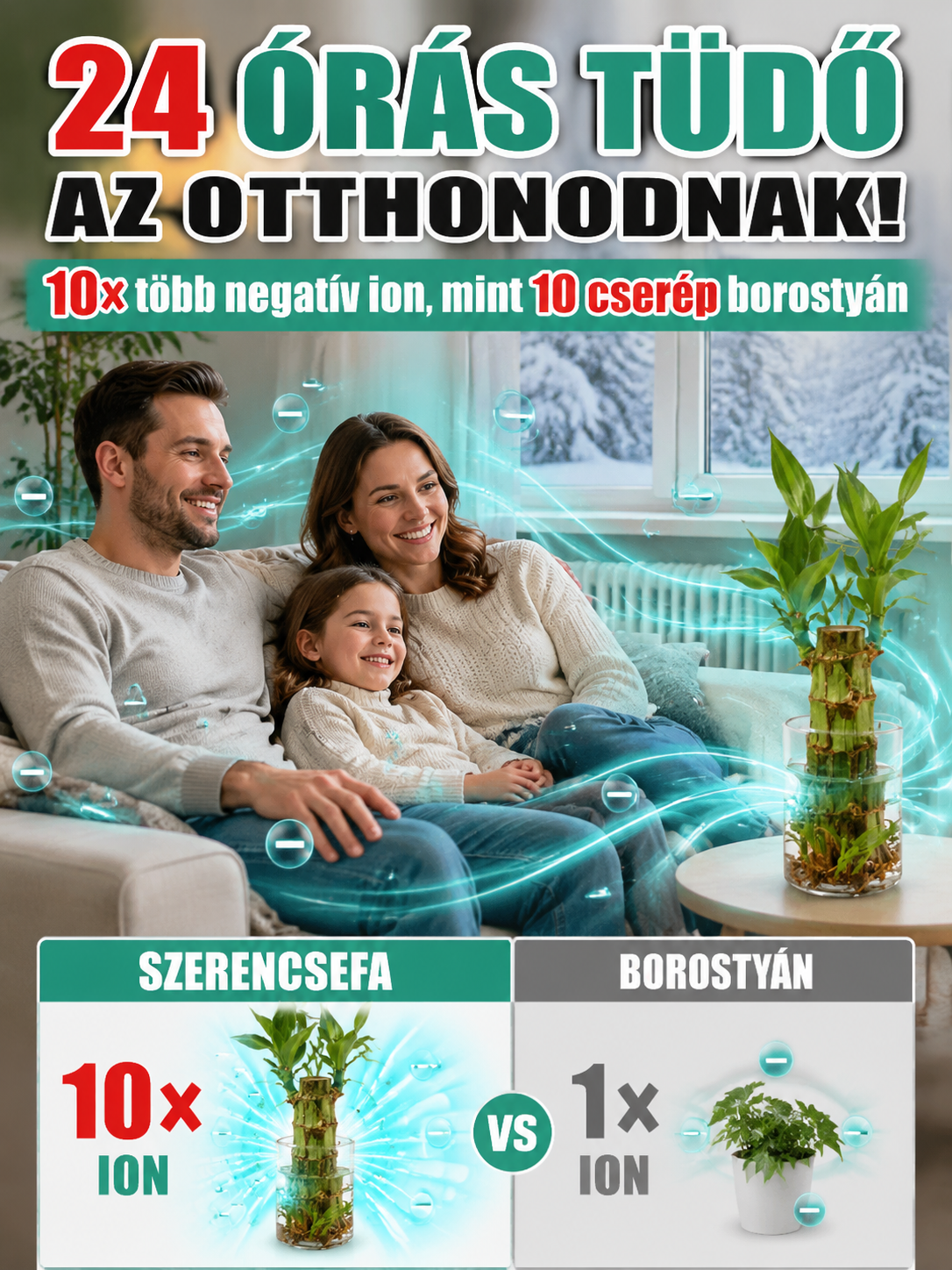 【Vízben Életre Kel】Négyévszakos Brazil Szerencsebambusz - 50% Akció