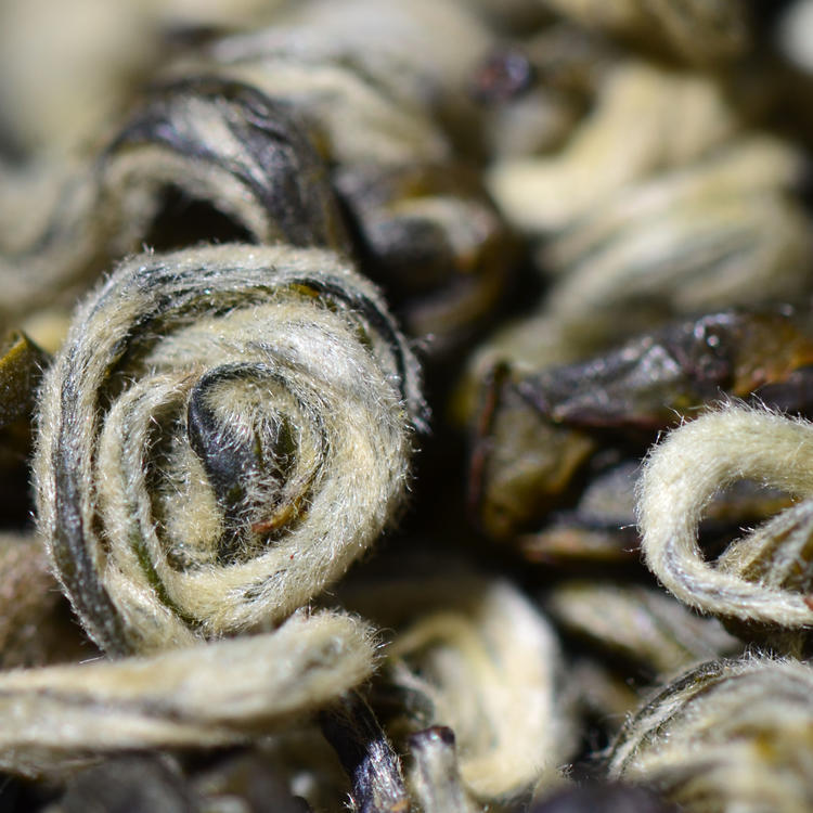 Kungfuyang 2026 "First-Pick" Pre-Chingming Bi Luo Chun Green Tea, product view 7