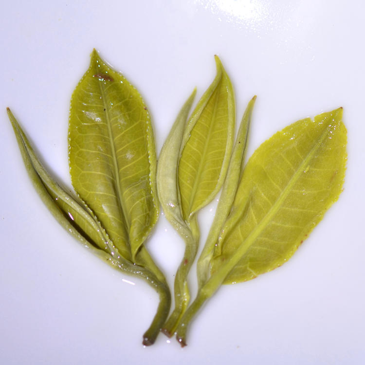 Kungfuyang 2026 "First-Pick" Pre-Chingming Bi Luo Chun Green Tea, product view 4