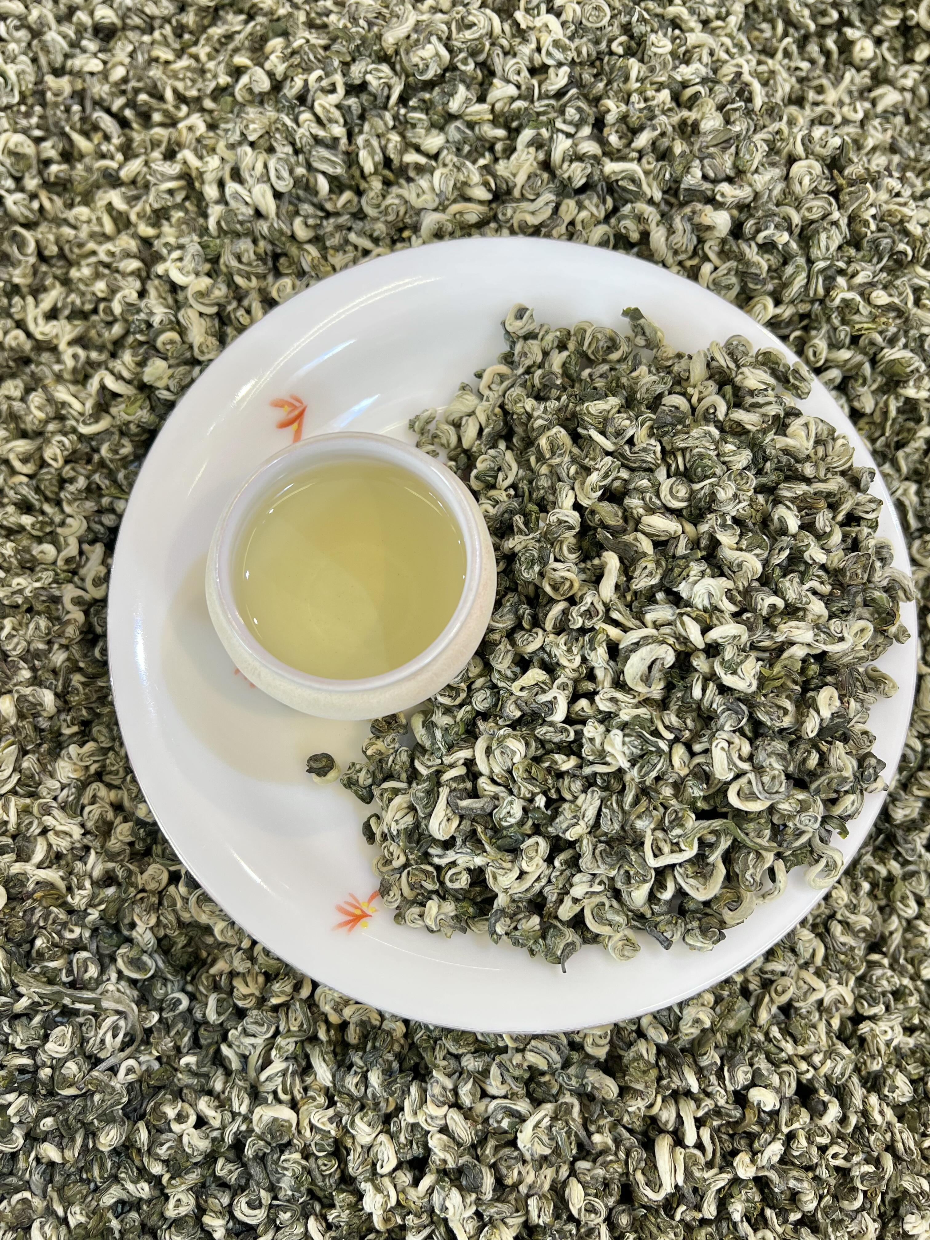 Kungfuyang 2026 "First-Pick" Pre-Chingming Bi Luo Chun Green Tea, product view 3