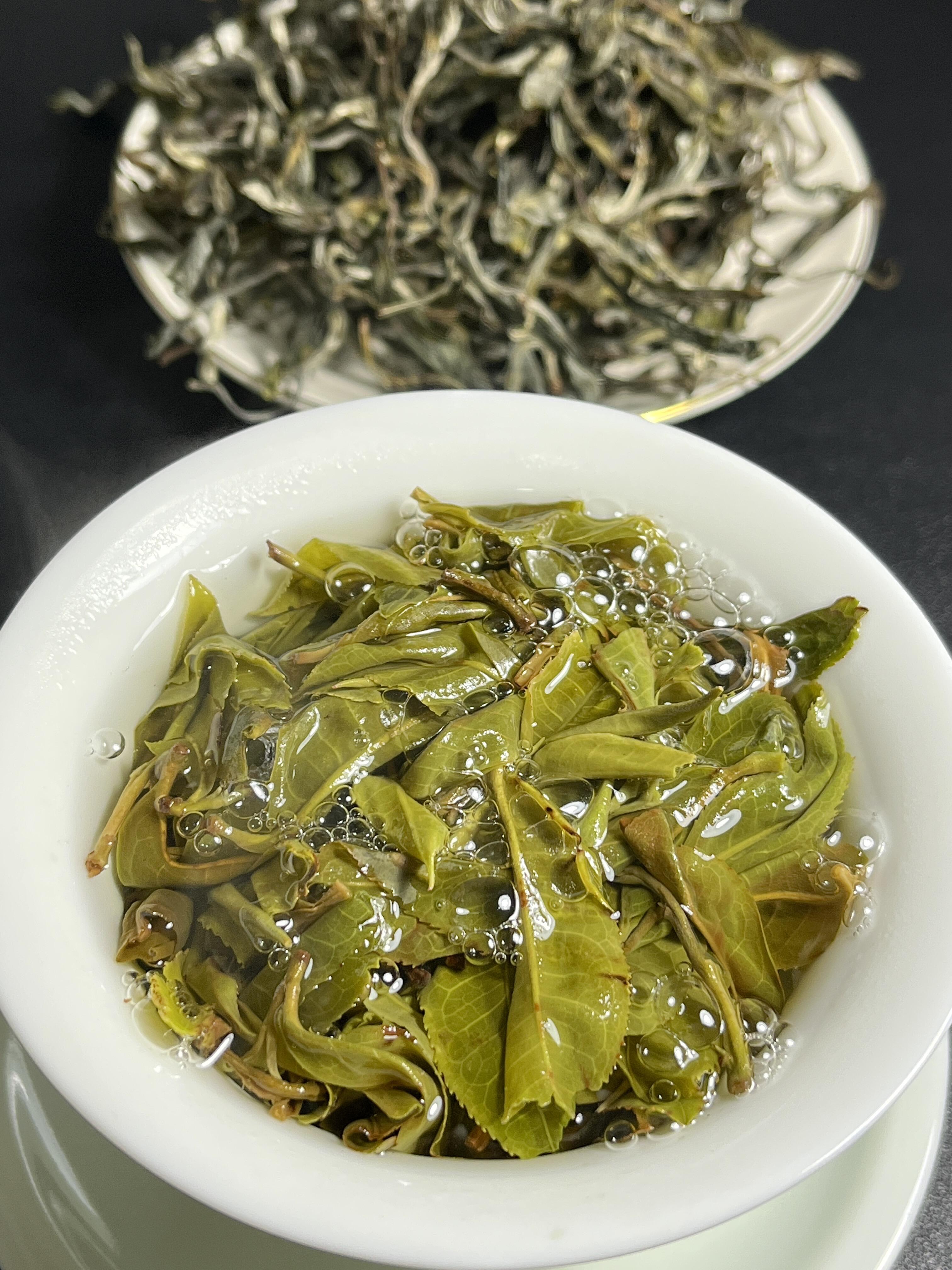 2f0f7d5a 1dcd 4b89 bce2 ab25bd38c4e8 – 2020 Aged Bingdao Laozhai Ancient Tree Pu-erh Tea by Kungfuyang