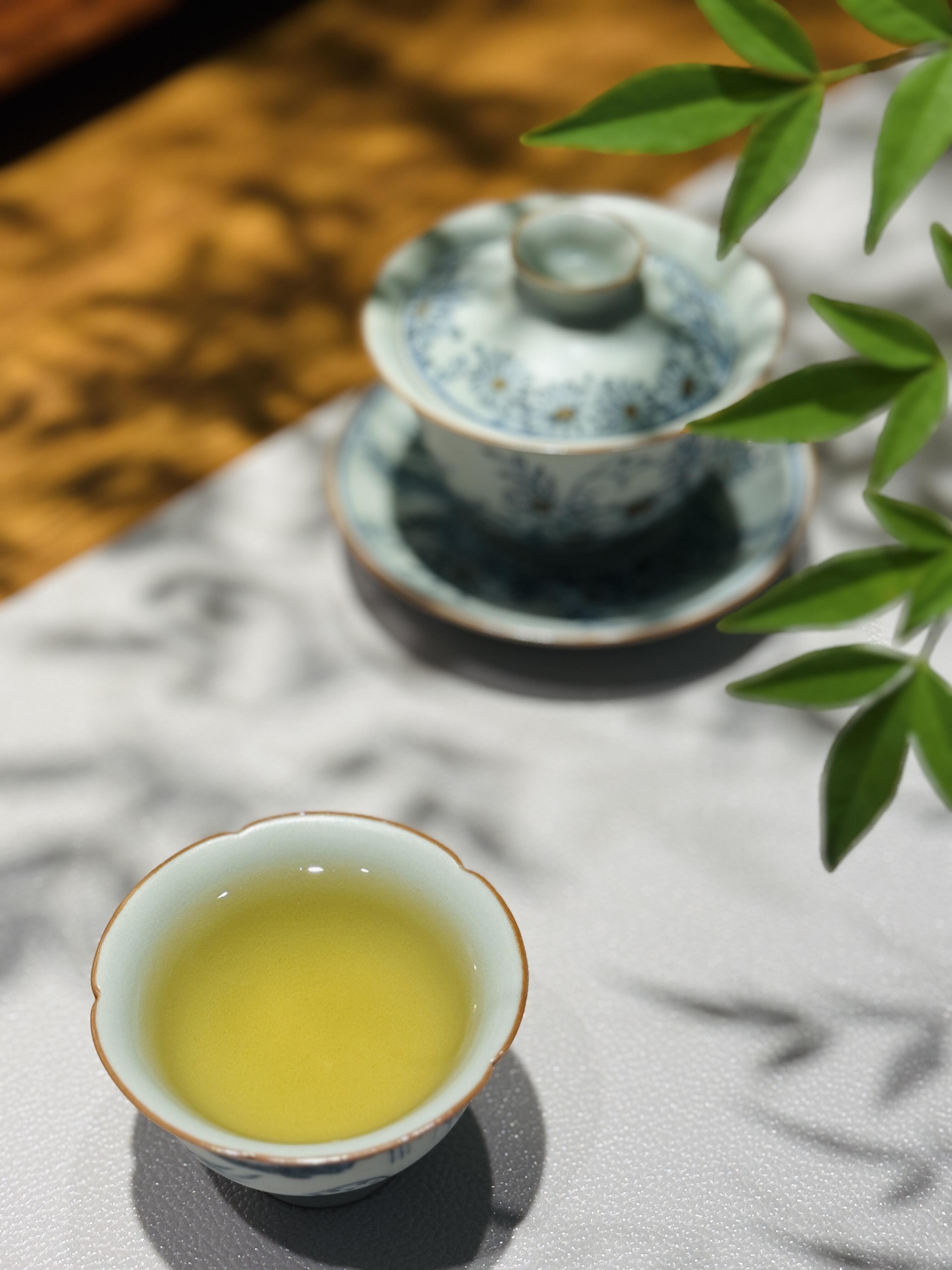 Kungfuyang 2026 Bingdao Laozhai Ancient Tree Dragon Pearl Pu-erh Tea, product view 7