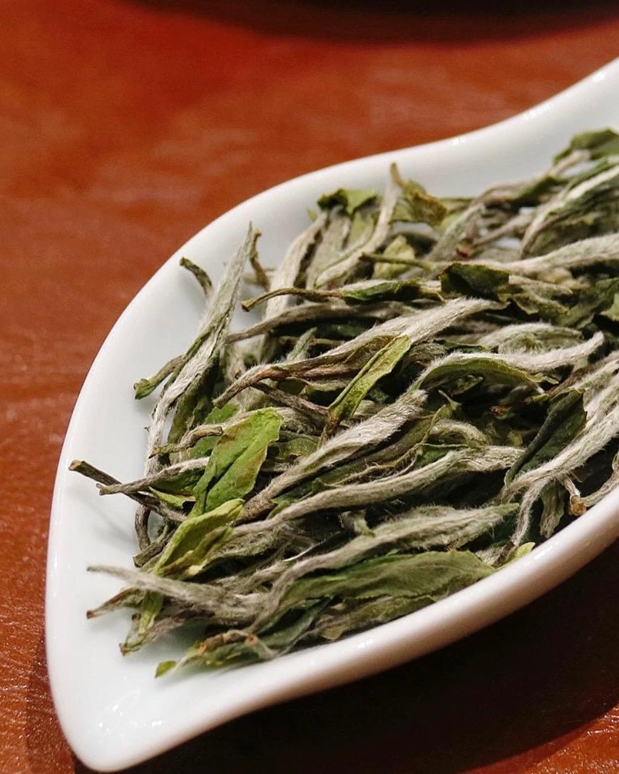 2025 supreme white peony dry leaves – 2025 Spring Fuding White Tea Supreme Grade White Peony by Kungfuyang