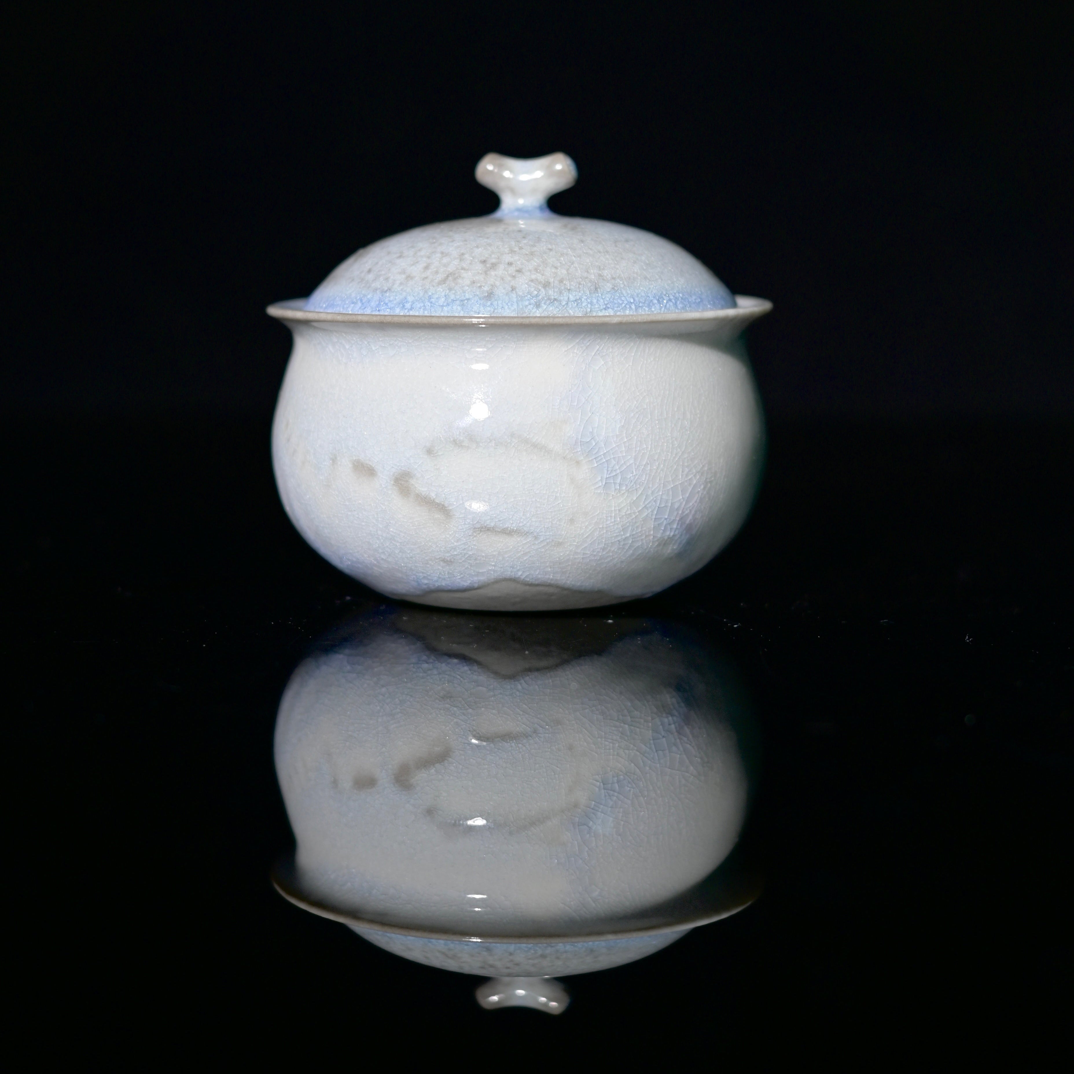 Kungfuyang Unique Piece Jingdezhen Wood-Fired Soda Glaze Gaiwan 100ml, product view 2
