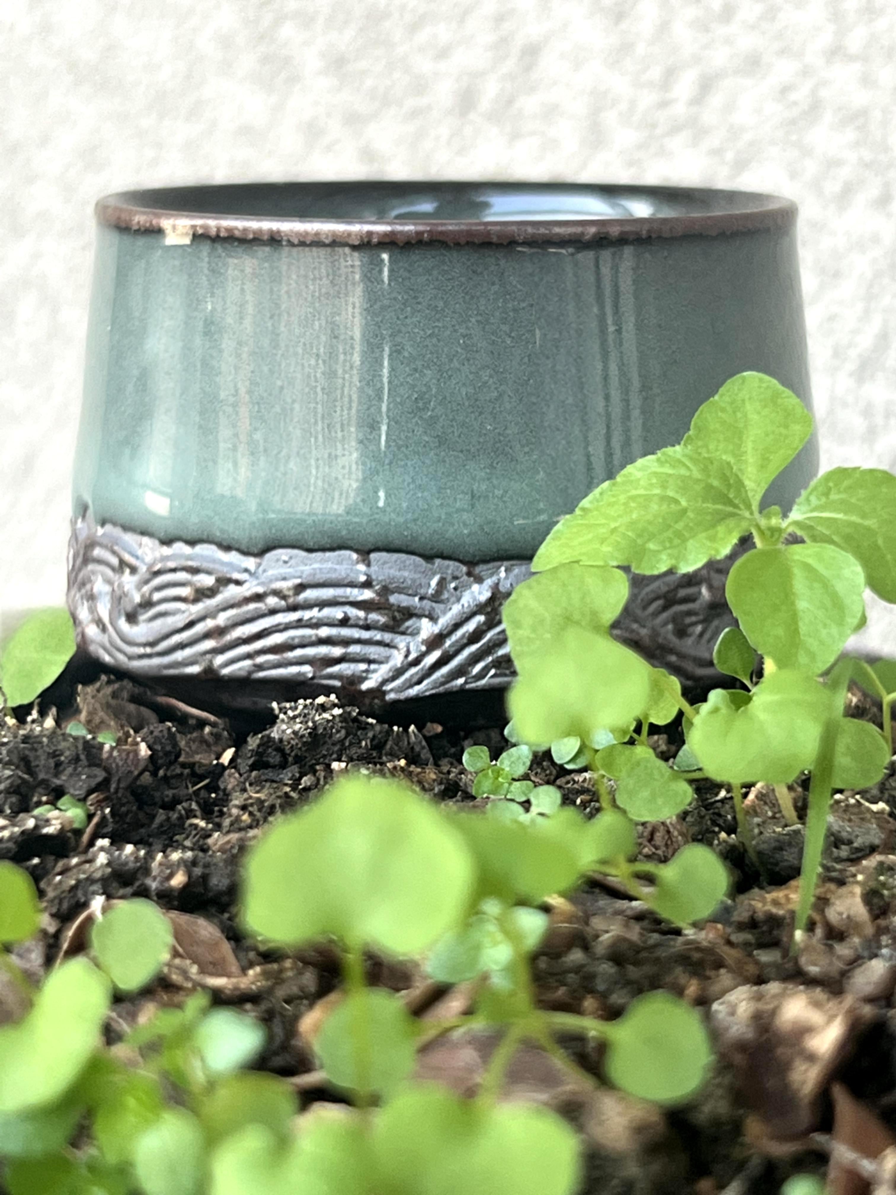 Kungfuyang Longquan Celadon Plum Green Teacup Tea Brewing Single Cup, product view 4