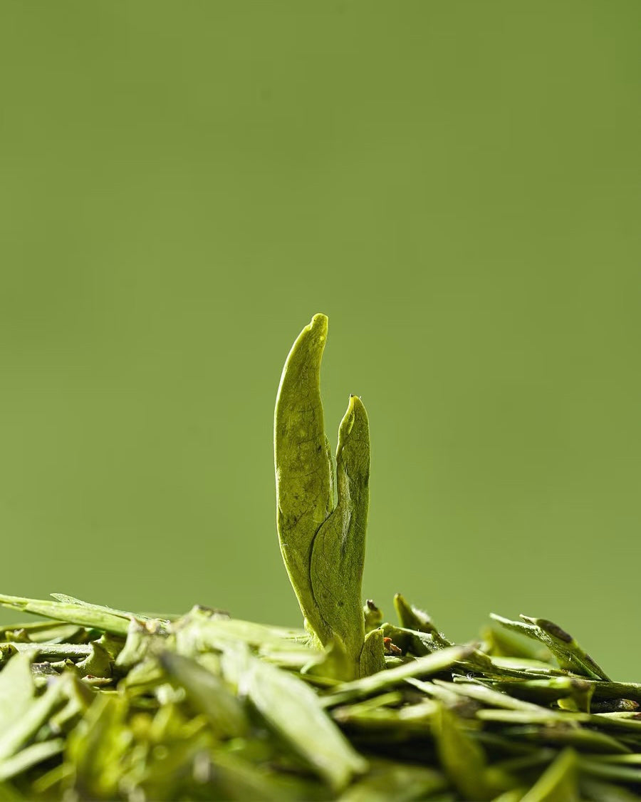 authentic hand-fired Longjing leaves showing flat, smooth, sword-like shape by Kungfuyang