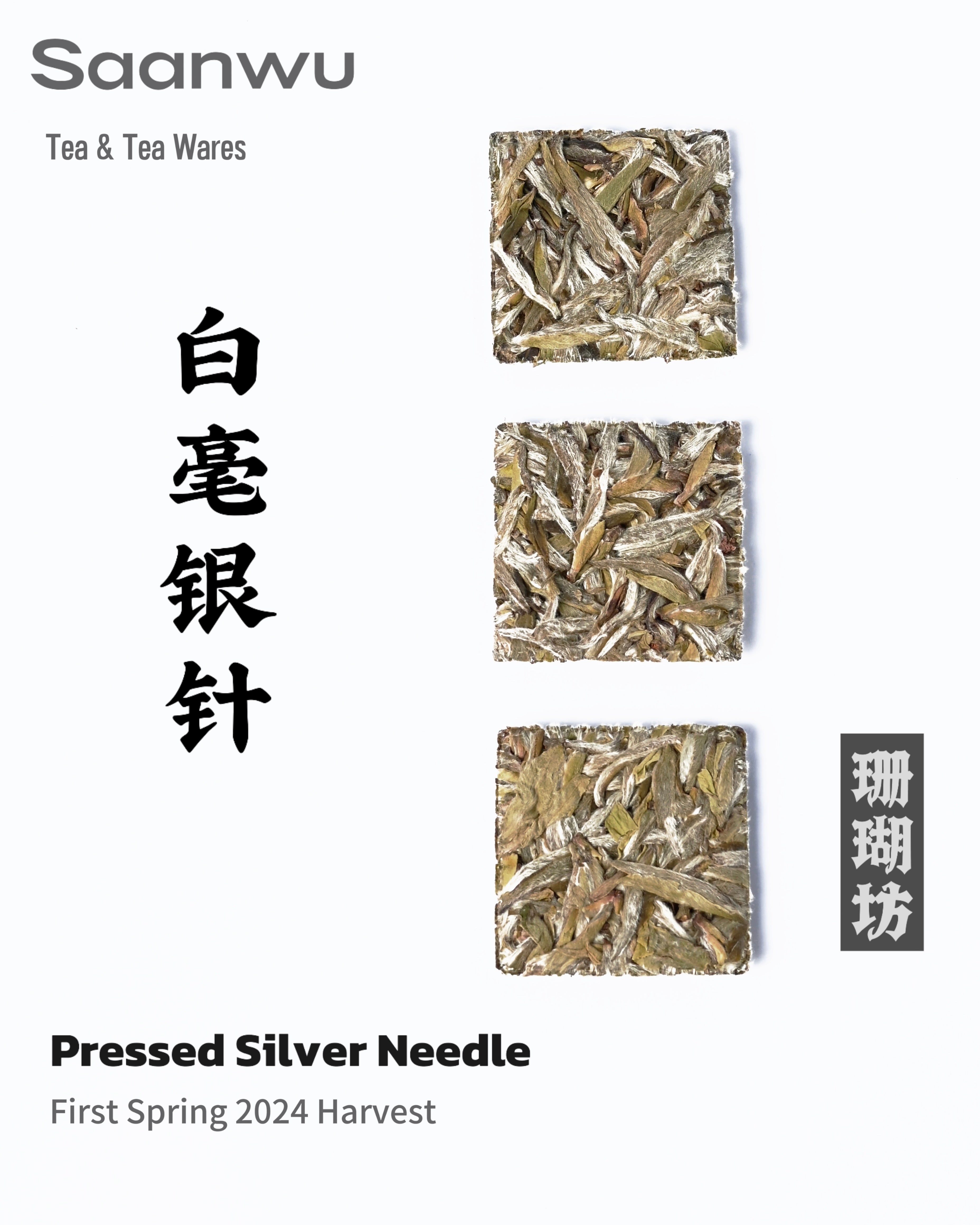 brewed liquor from pressed tea block – Fuding White Tea 2024 Premium Baihao Yinzhen (Silver Needle) by Kungfuyang