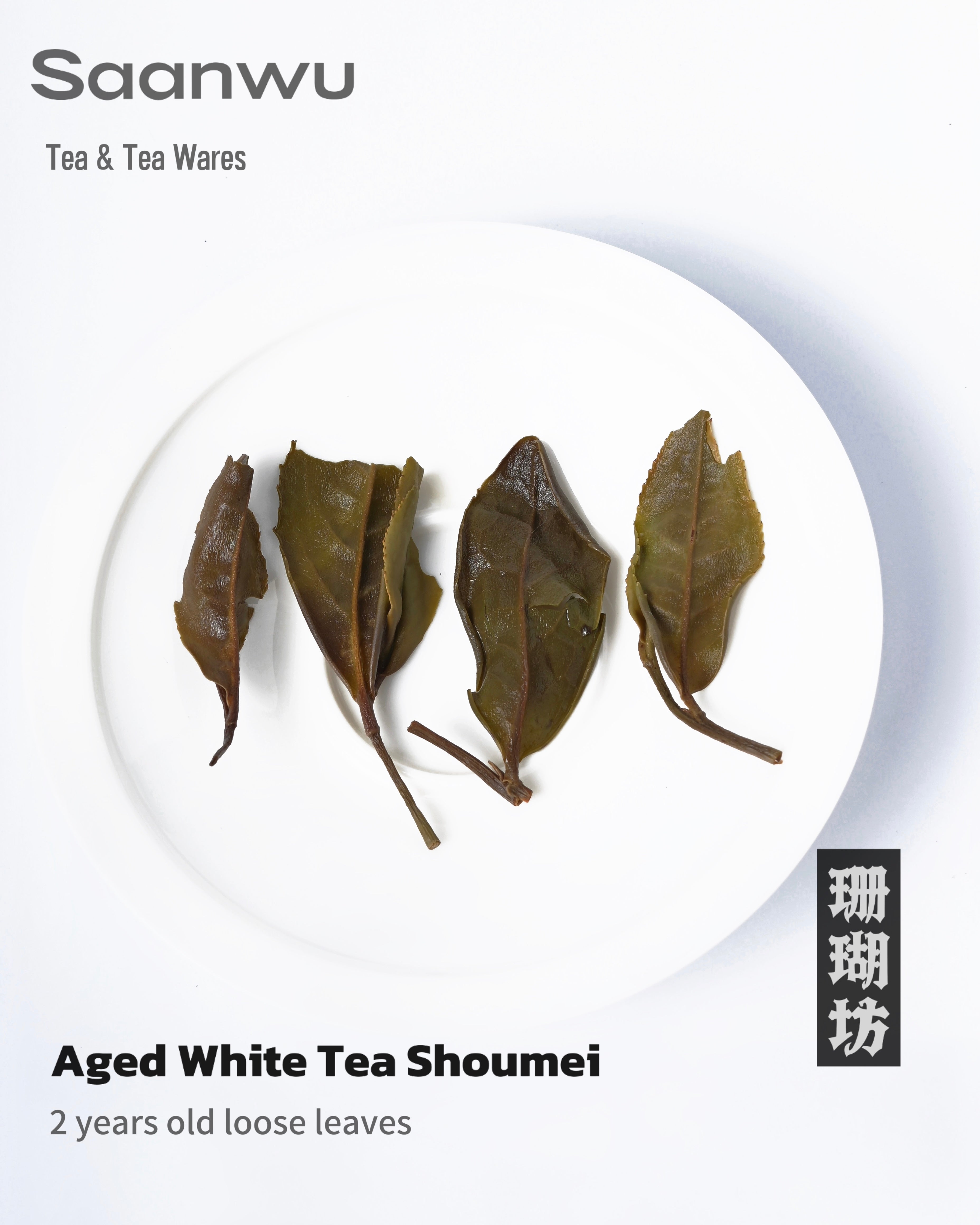 brewing shou mei white tea in gaiwan – Fuding White Tea Shou Mei, 2023 Spring Harvest by Kungfuyang