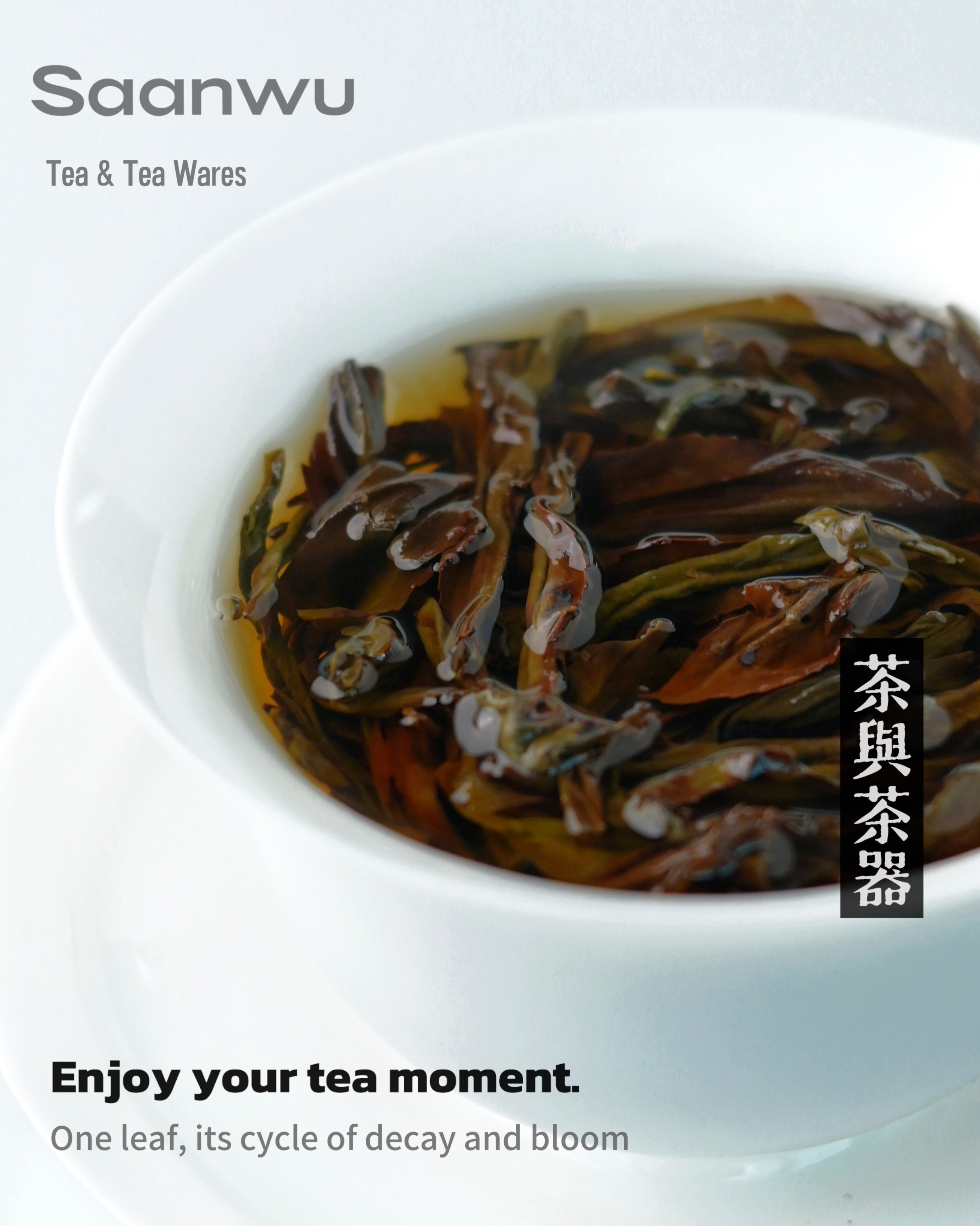 brewing tips about oolong tea – Phoenix Danchong Oolong Tea--Wudong Songzhong 2025S by Kungfuyang