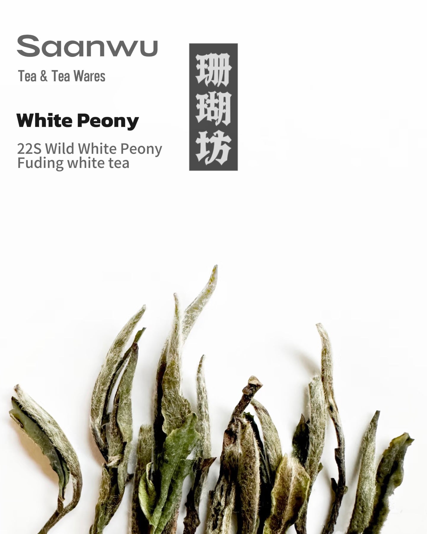chinese white tea white peony – 2022 Wild-Grown White Peony Fuding White Tea by Kungfuyang