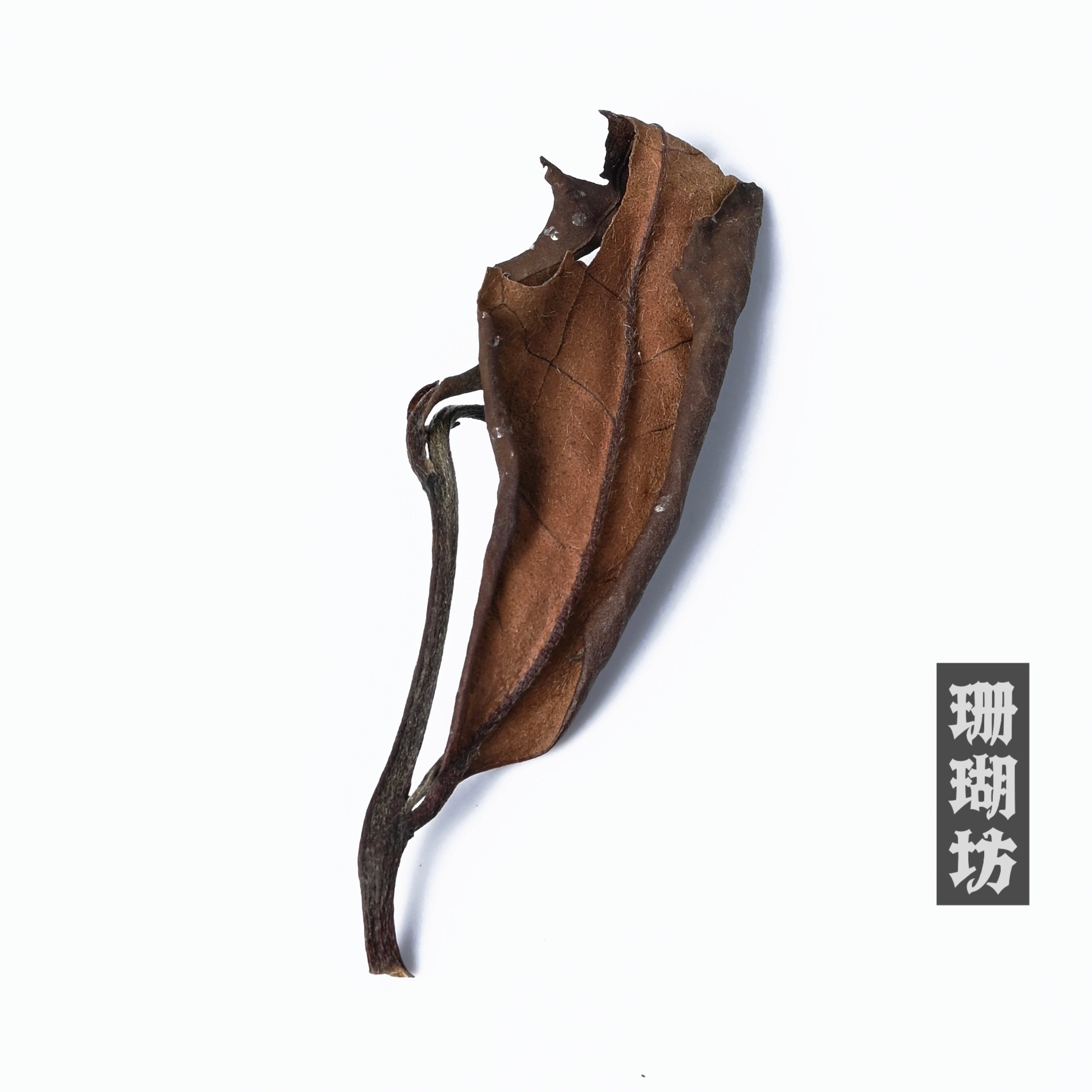 comparison shou mei bai mudan baihao – Fuding White Tea Shou Mei, 2023 Spring Harvest by Kungfuyang