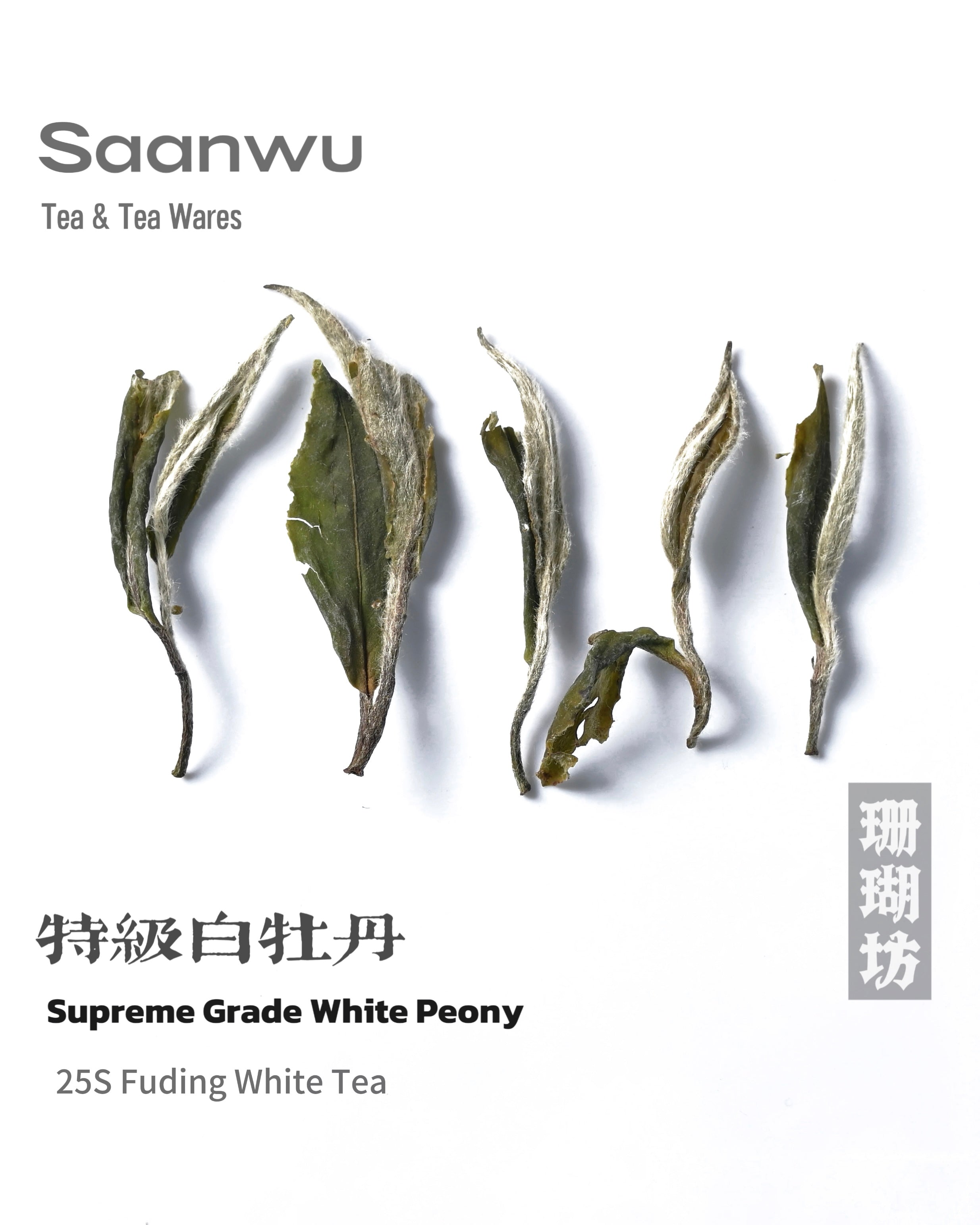 fuding white tea white peony – 2025 Spring Fuding White Tea Supreme Grade White Peony by Kungfuyang