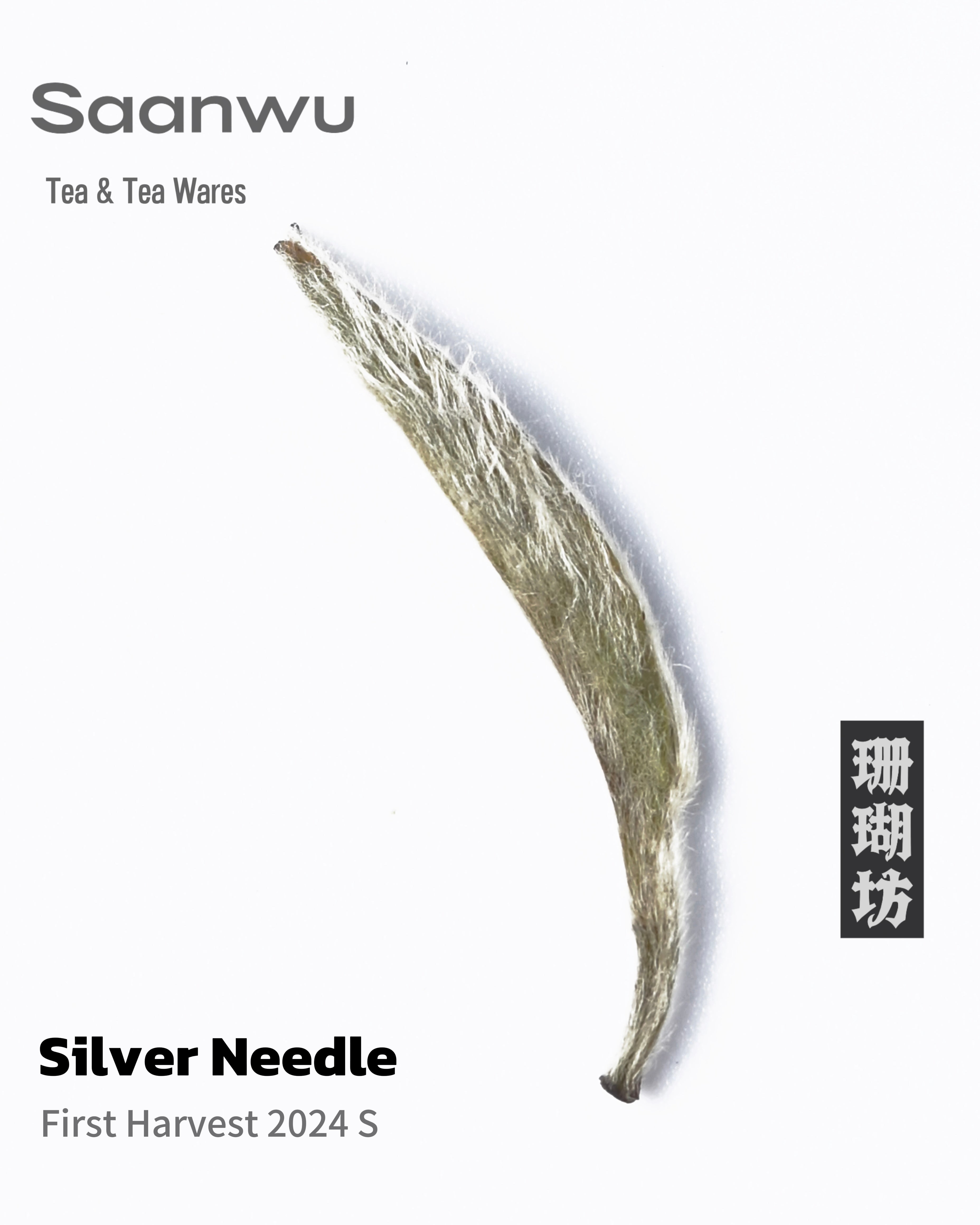fujian silver needle tea buds closeup – Silver Needle White Tea, First Spring 2024 Harvest by Kungfuyang