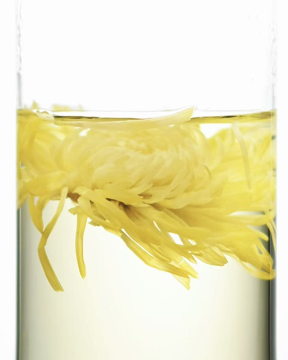 golden silk chrysanthemum tea – 2025 Golden Silk Chrysanthemum Tea by Kungfuyang