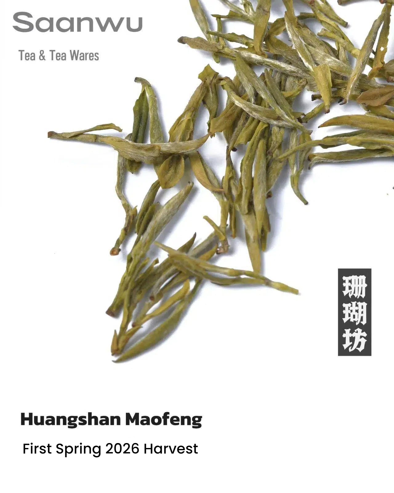 huangshan maofeng green tea 412fa87e 1d58 – Huangshan Maofeng Green Tea, First Spring 2026 Harvest by Kungfuyang