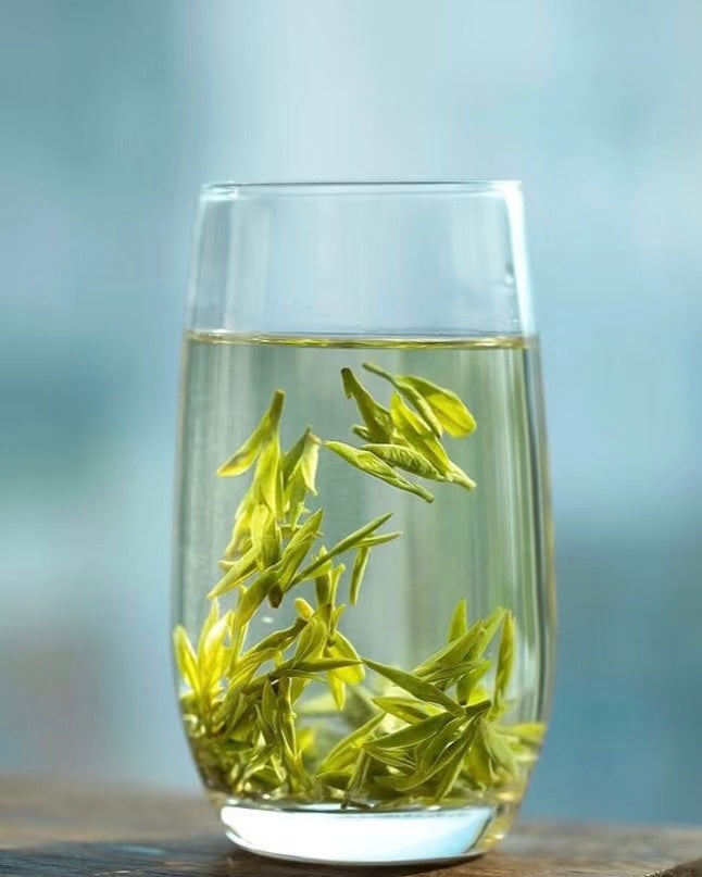 huangshan maofeng green tea firstspring – Huangshan Maofeng Green Tea, First Spring 2026 Harvest by Kungfuyang