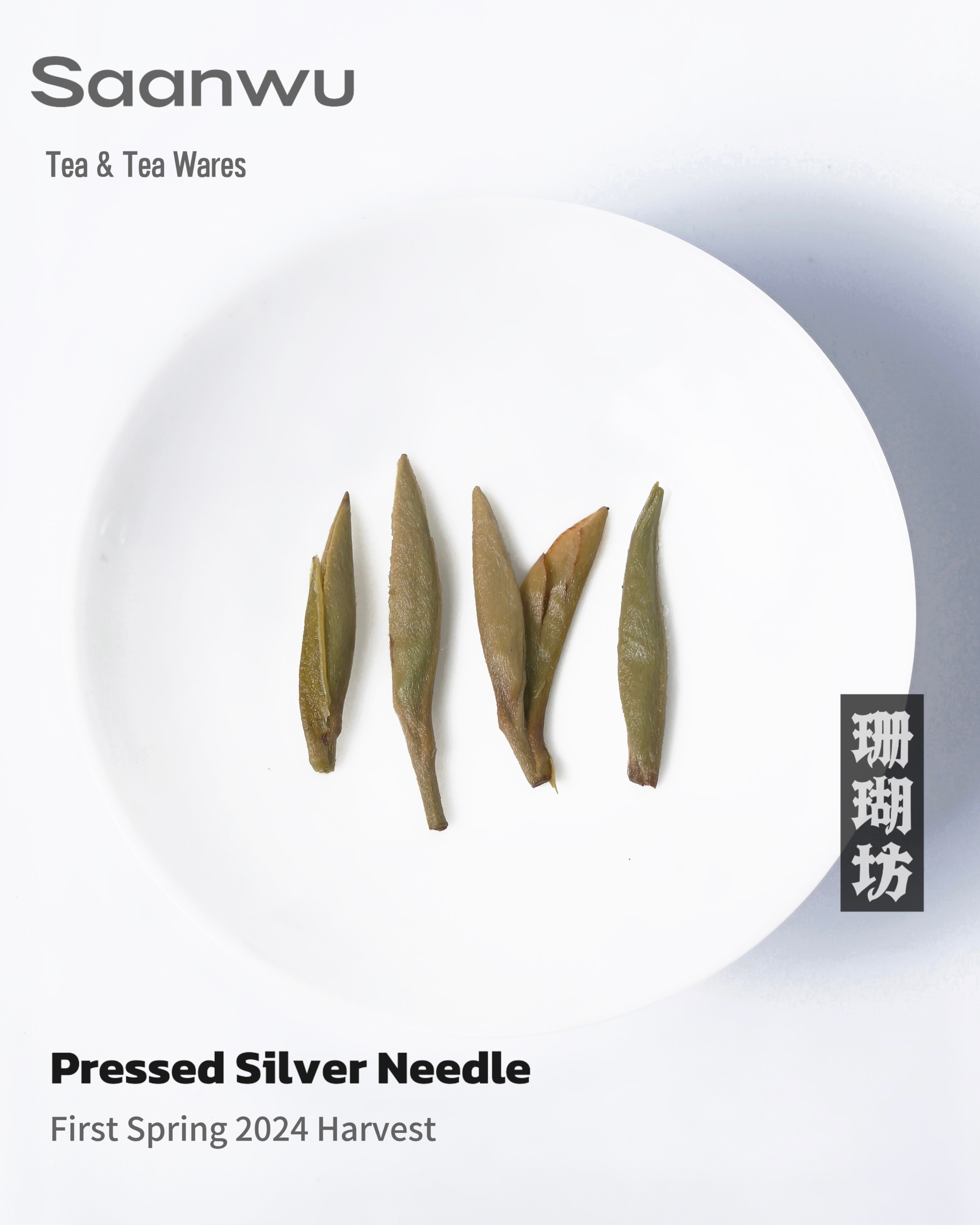 pressed tea cube for travel use – Fuding White Tea 2024 Premium Baihao Yinzhen (Silver Needle) by Kungfuyang