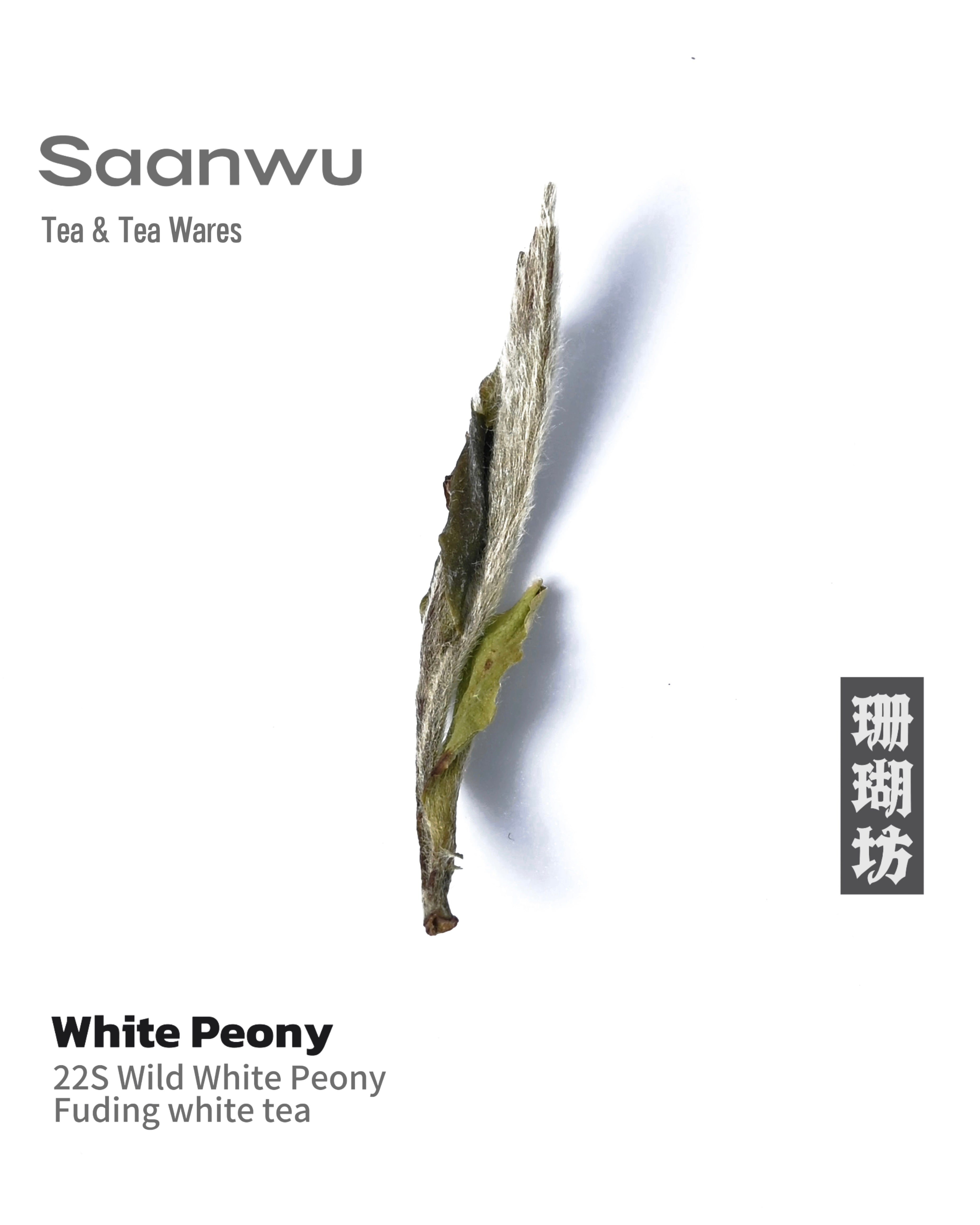 Kungfuyang wild white peony fuding loose tea – 2022 Wild-Grown White Peony Fuding White Tea by Kungfuyang