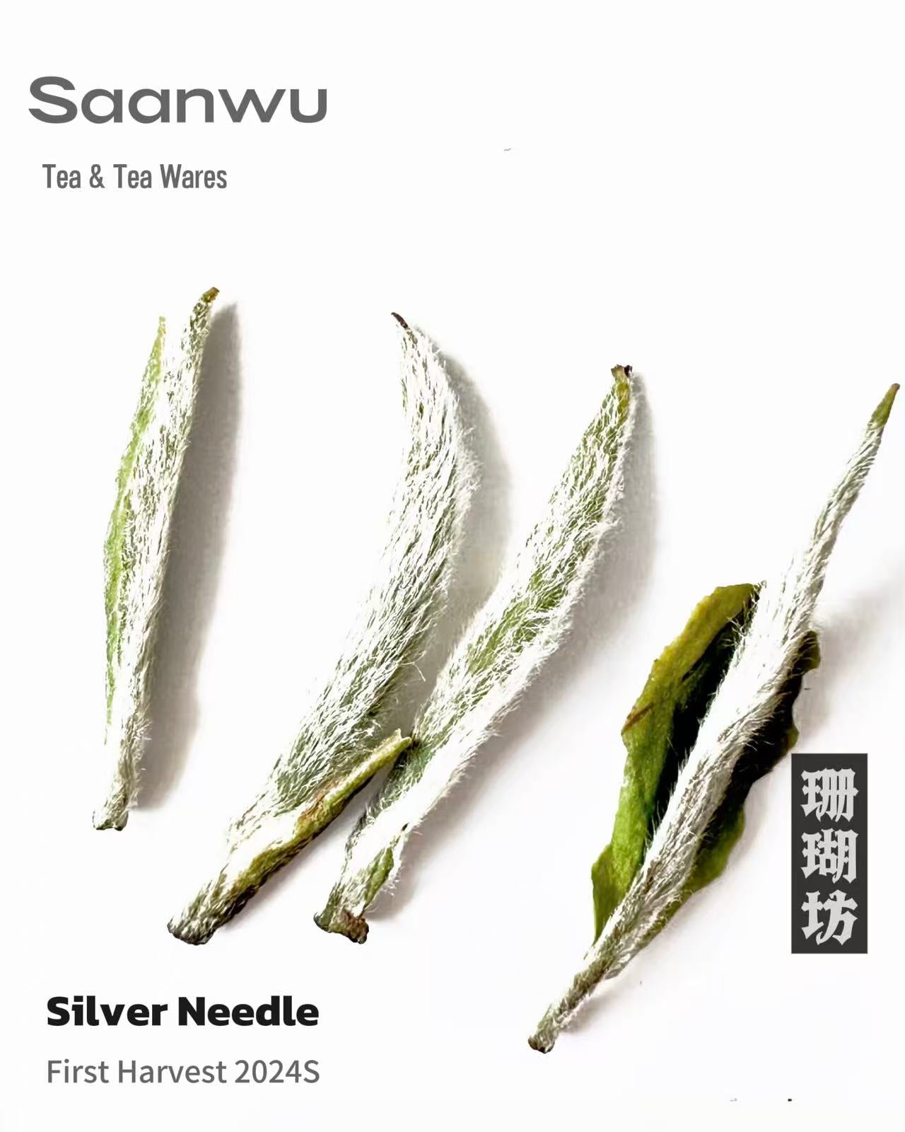 silver needle dry tea buds white hairs – Silver Needle White Tea, First Spring 2024 Harvest by Kungfuyang