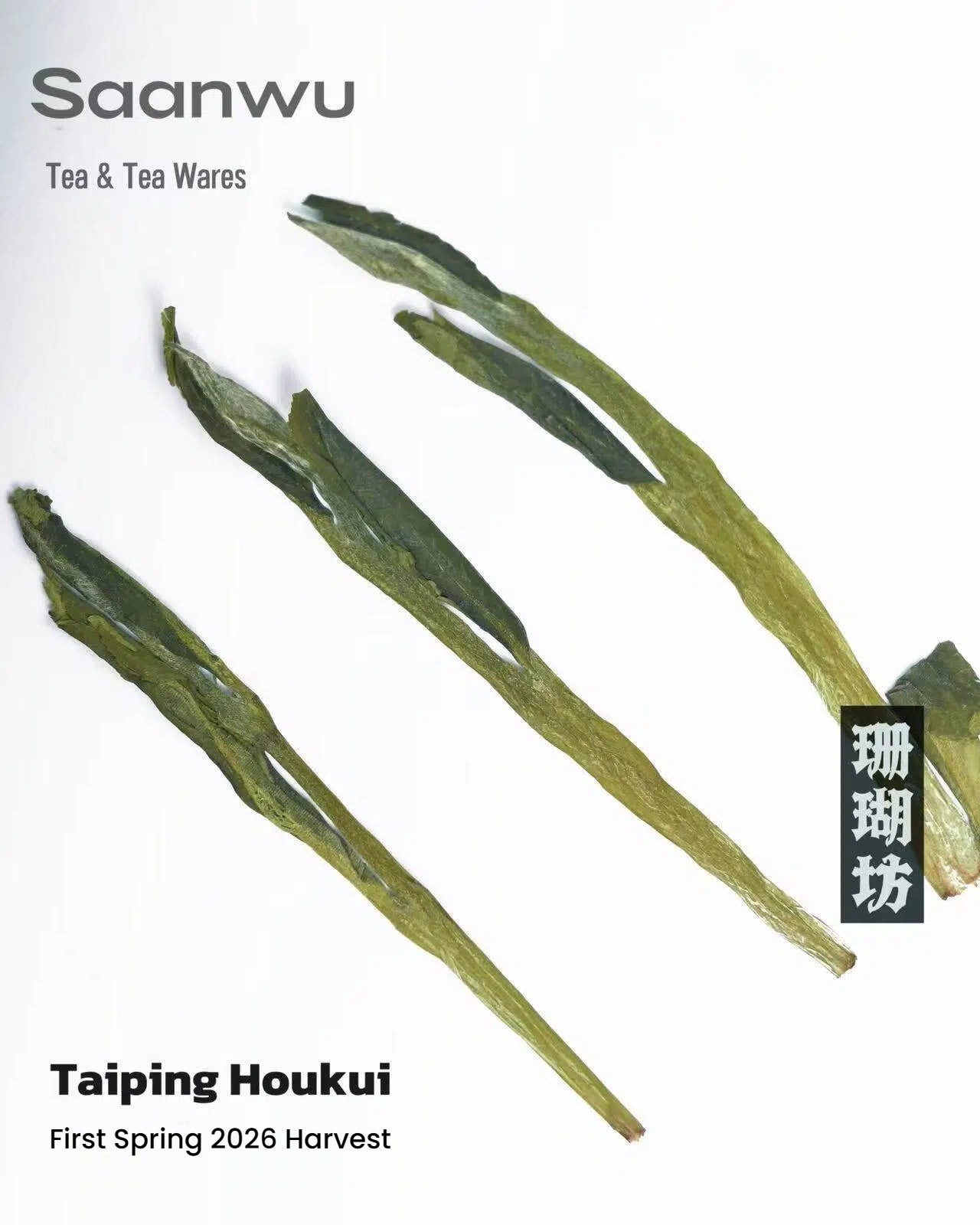 taiping houkui green tea 554e3826 46f5 – Taiping Houkui Green Tea, First Spring 2026 Harvest by Kungfuyang