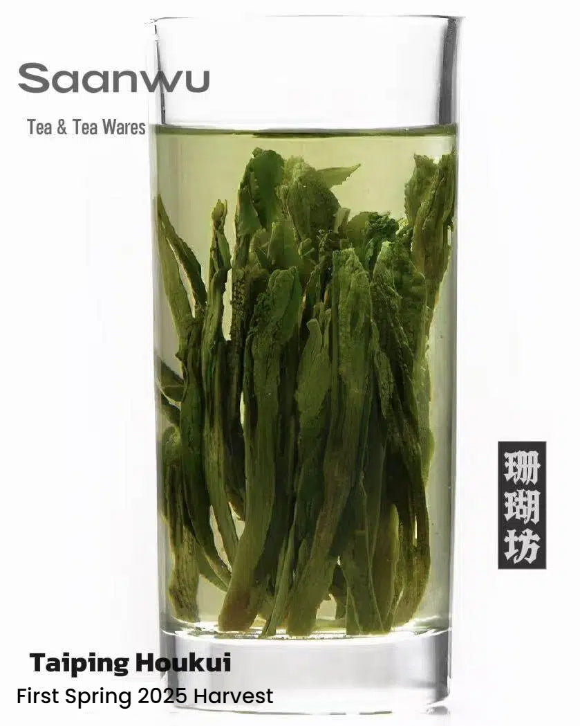 taiping houkui green tea first spring – Taiping Houkui Green Tea, First Spring 2026 Harvest by Kungfuyang
