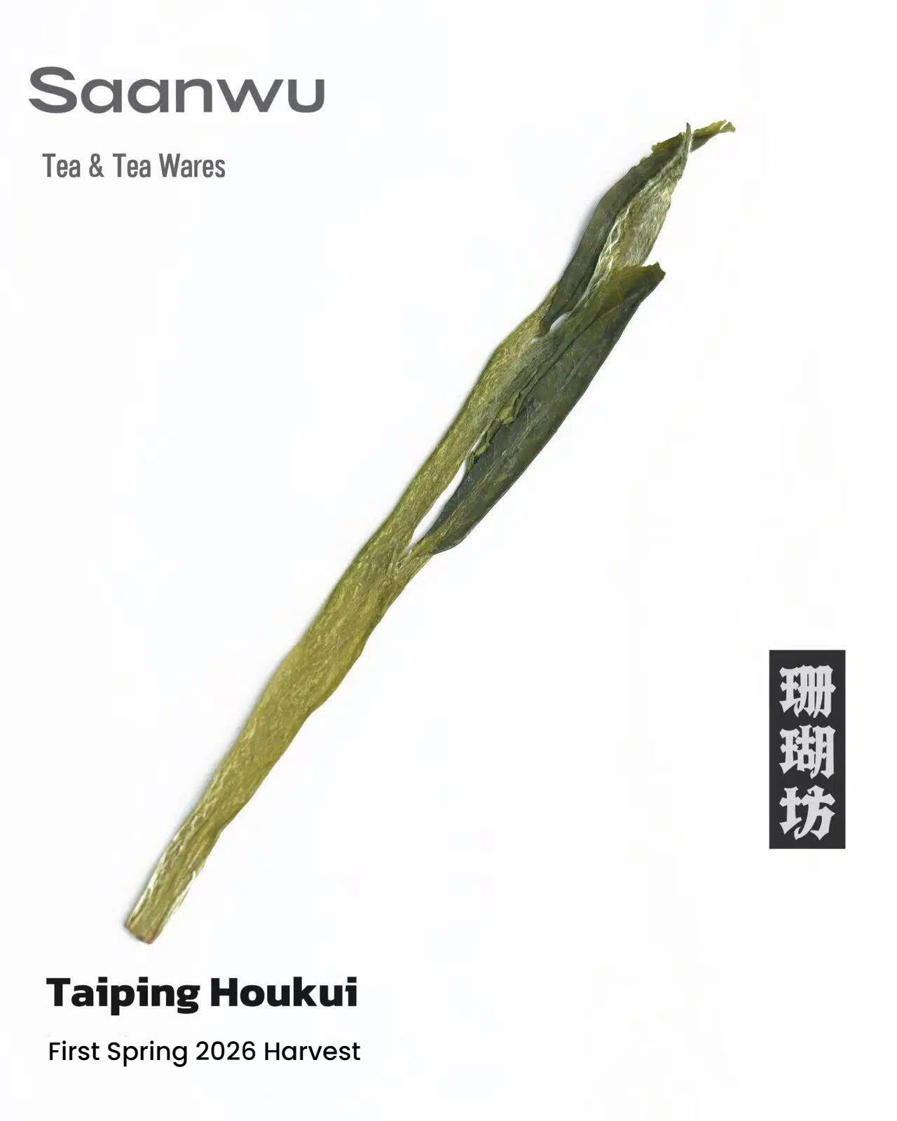taiping houkui green tea first spring26s – Taiping Houkui Green Tea, First Spring 2026 Harvest by Kungfuyang