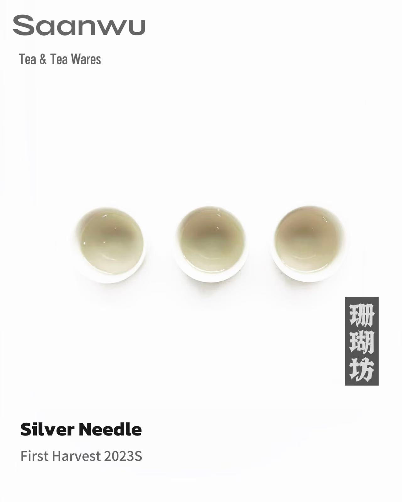 traditional chinese white tea making – Silver Needle White Tea, First Spring 2024 Harvest by Kungfuyang