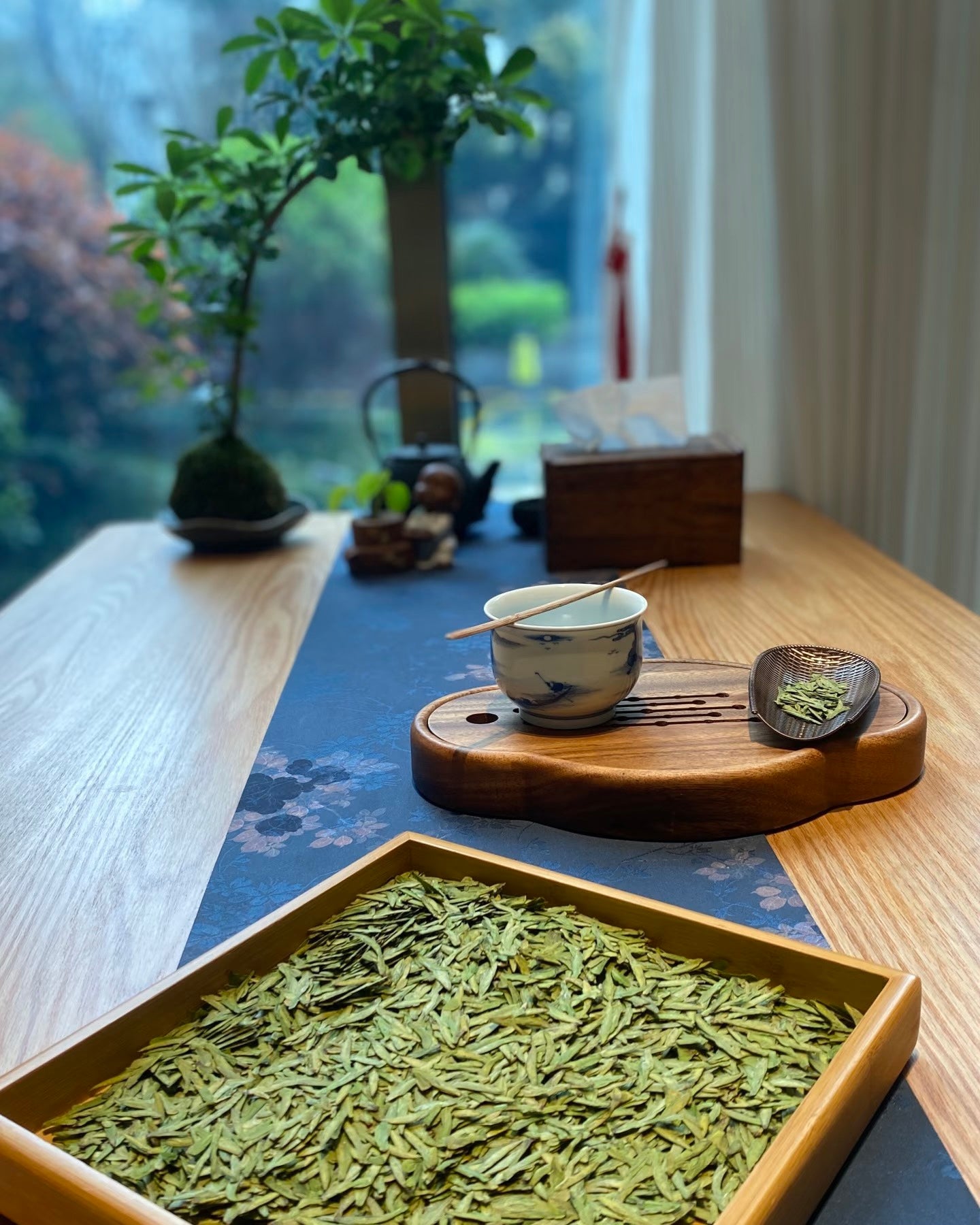 west lake longjing green tea hangzhou – 2026 First Grade Pre-Qingming West Lake Longjing Green Tea by Kungfuyang
