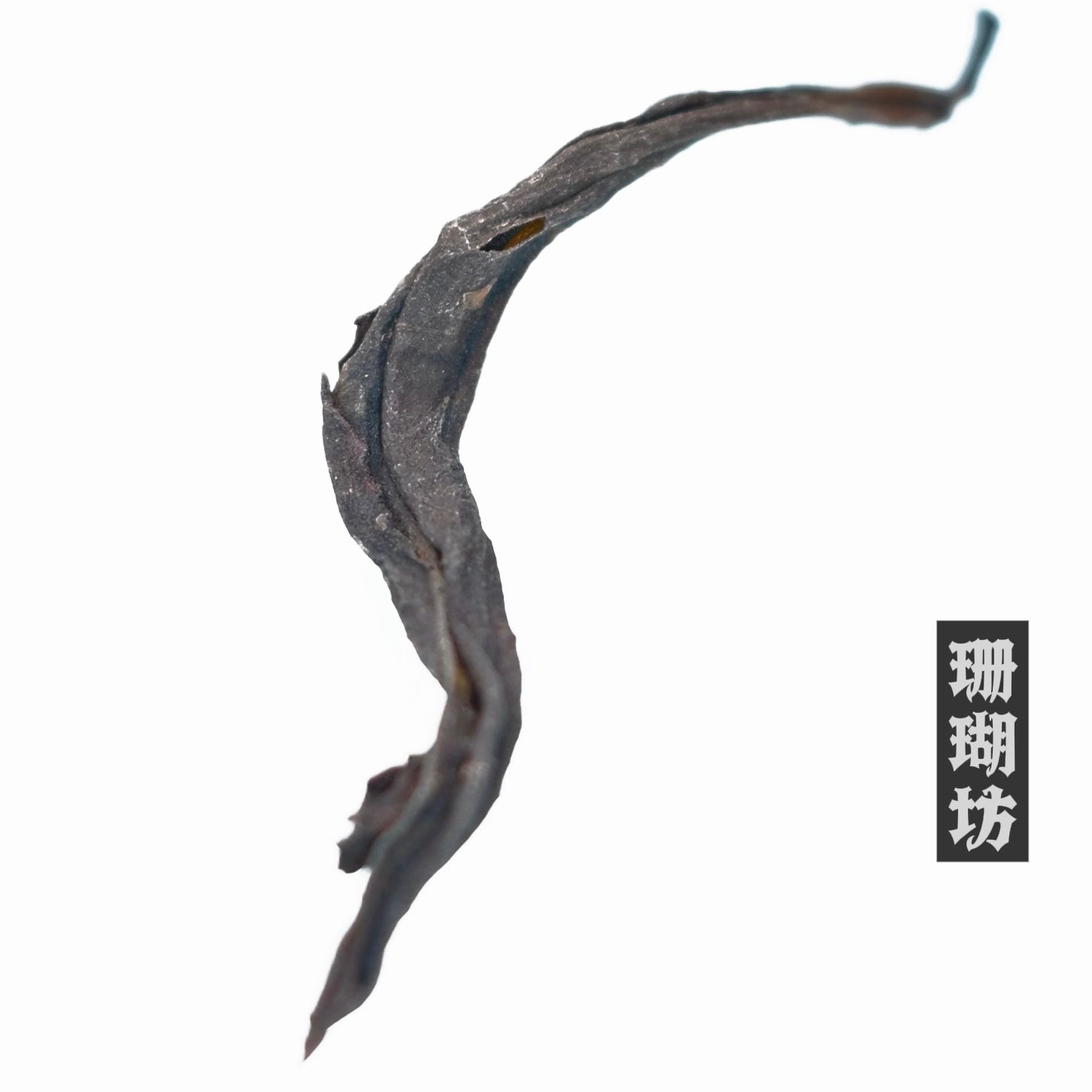 wudong songzhong phoenix dancong oolong – Phoenix Danchong Oolong Tea--Wudong Songzhong 2025S by Kungfuyang