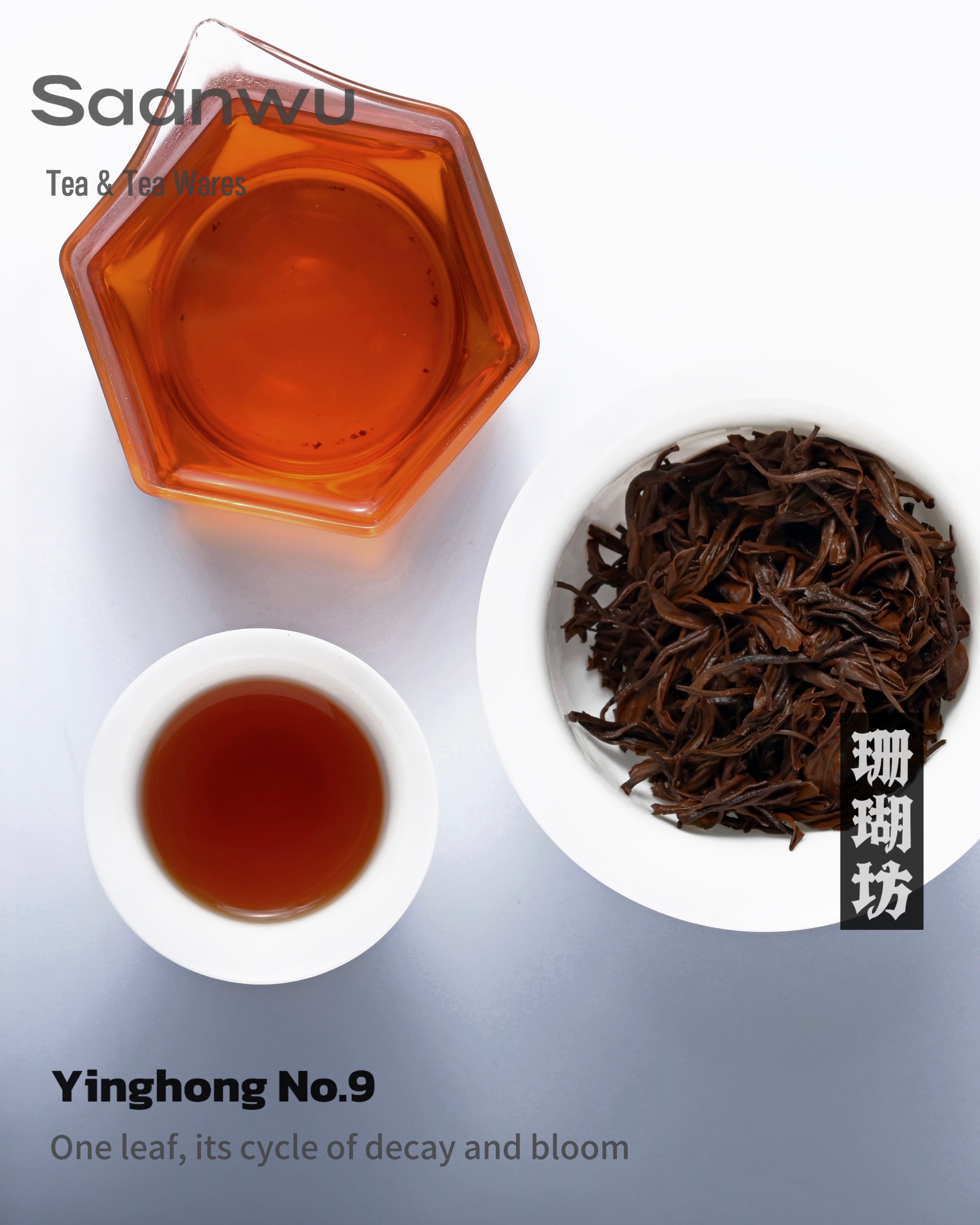 yingde black no9 2025 – Yinghong No. 9 Black Tea, First Spring 2025 Harvest by Kungfuyang