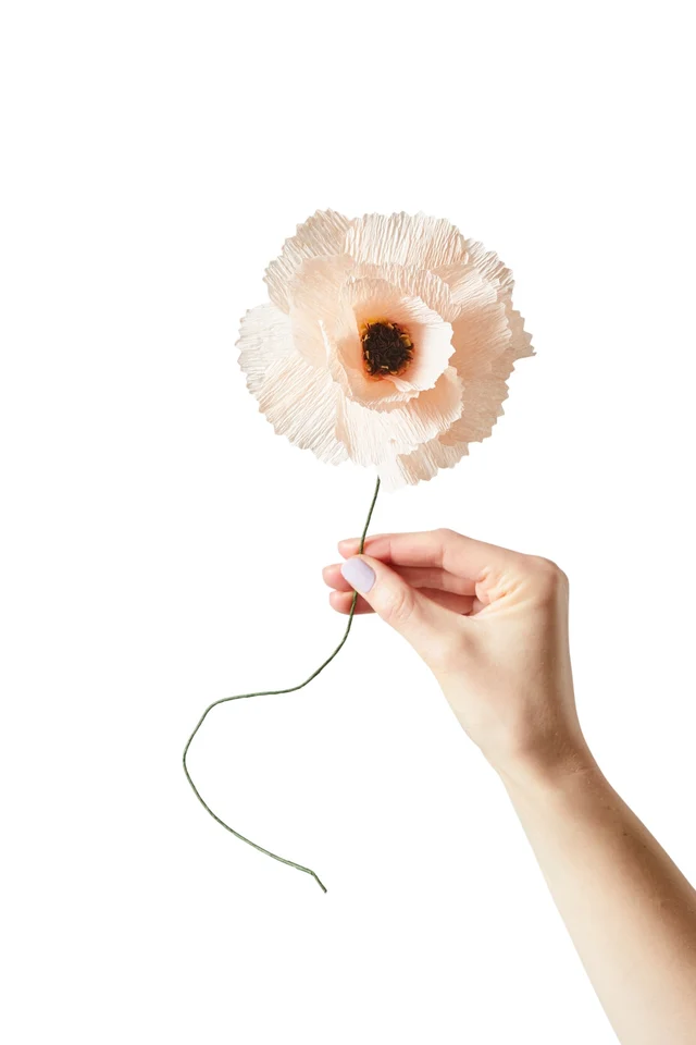 FLEUR EN PAPIER, PIVOINE, NU