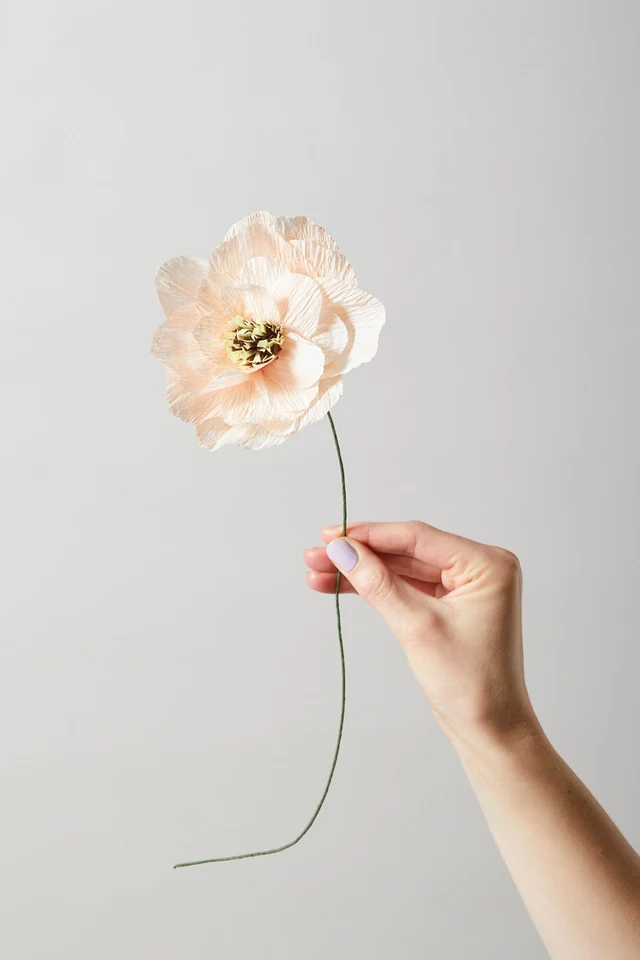 FLEUR EN PAPIER, COQUELICOT, NU